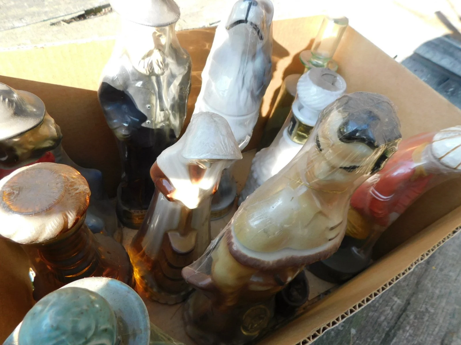 DSCN9556.JPG