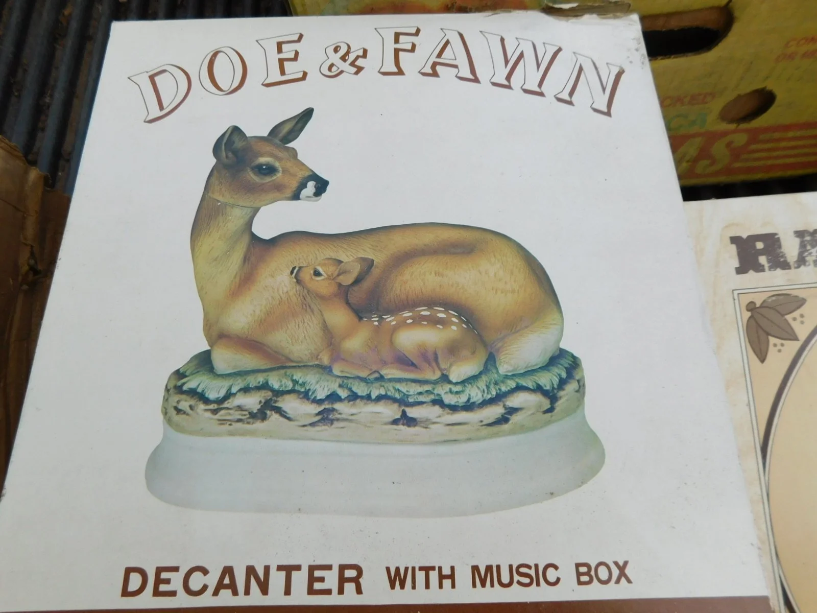 DSCN9614.JPG