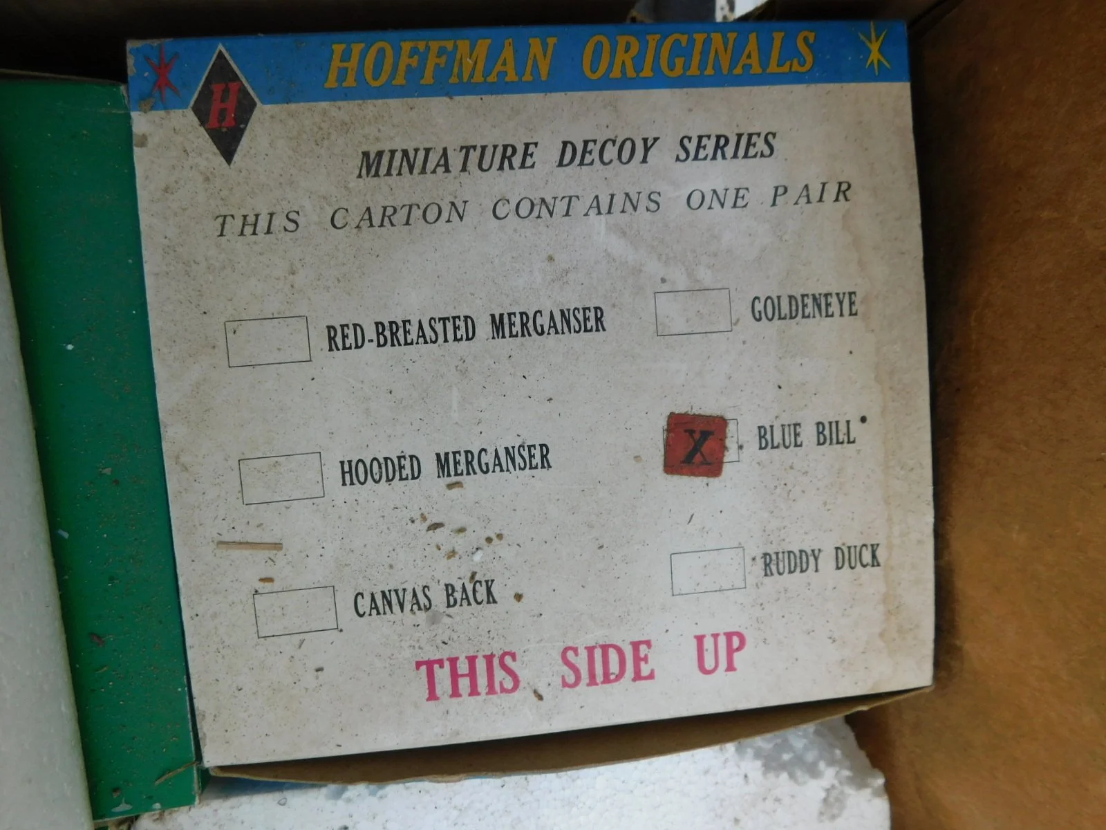 DSCN9619.JPG