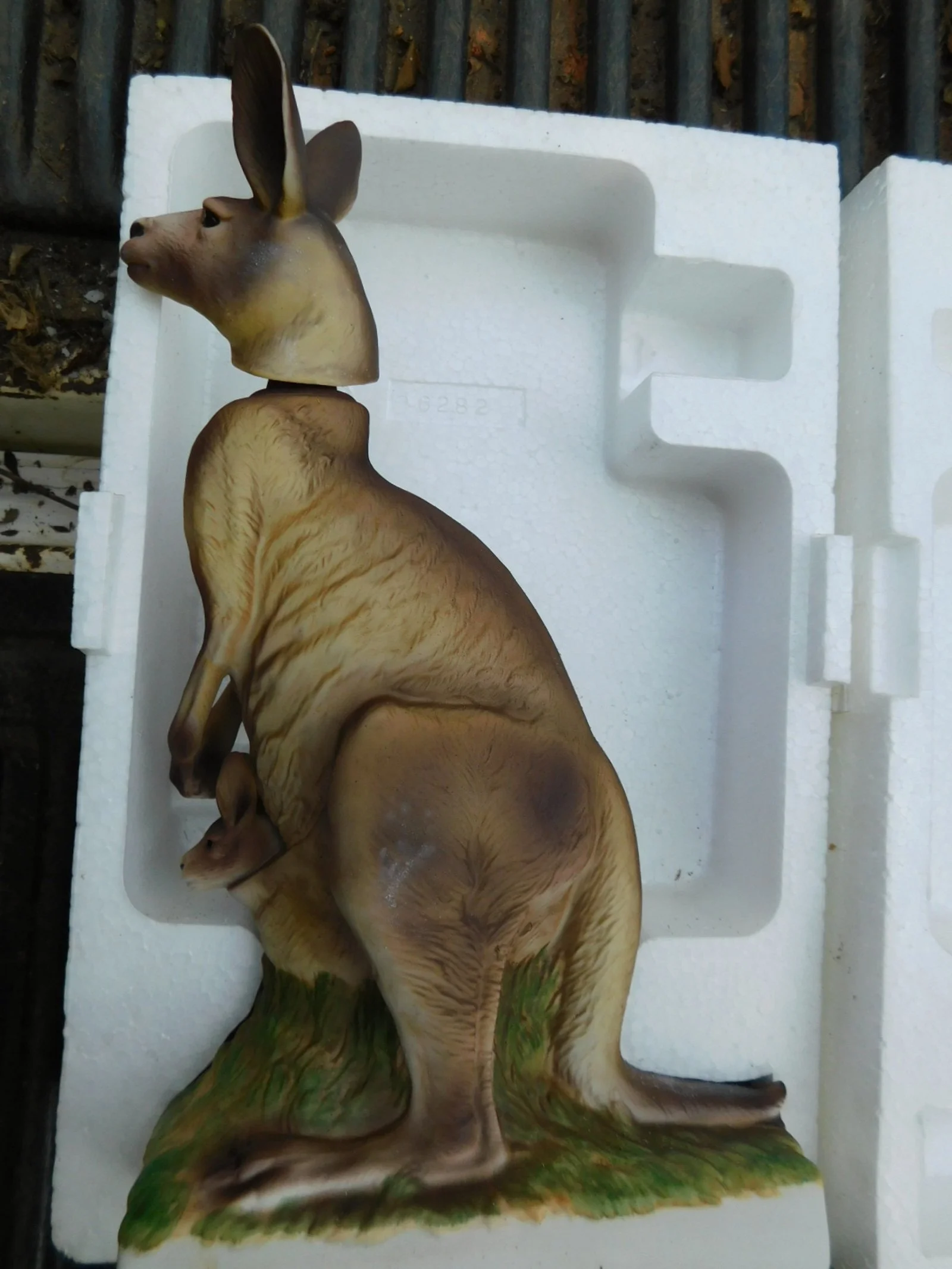 DSCN9620.JPG
