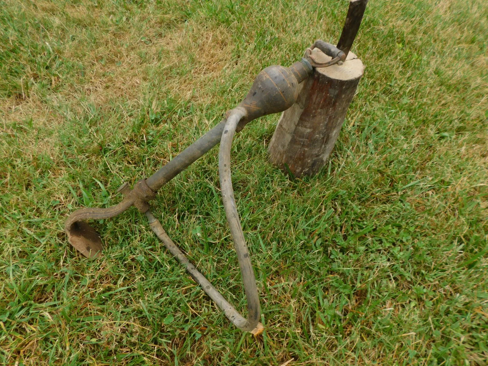 DSCN8493.JPG