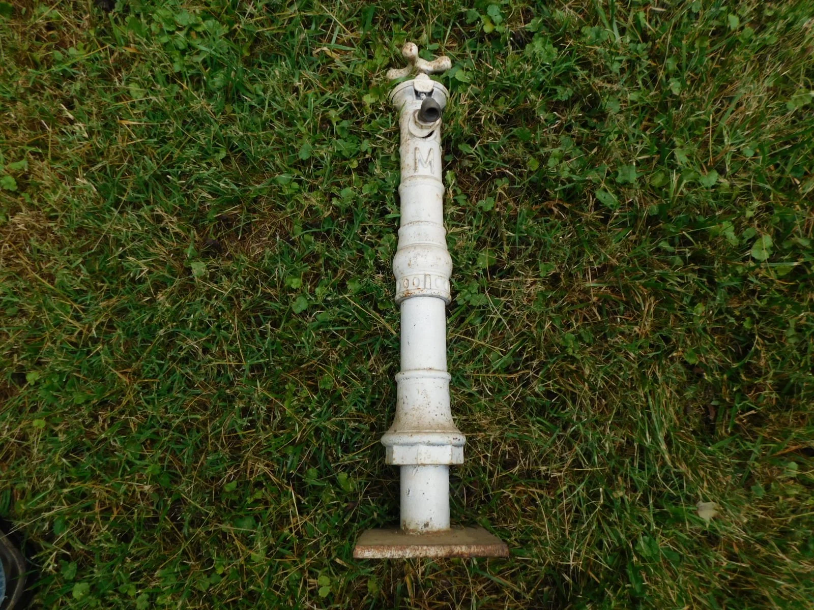 DSCN8525.JPG