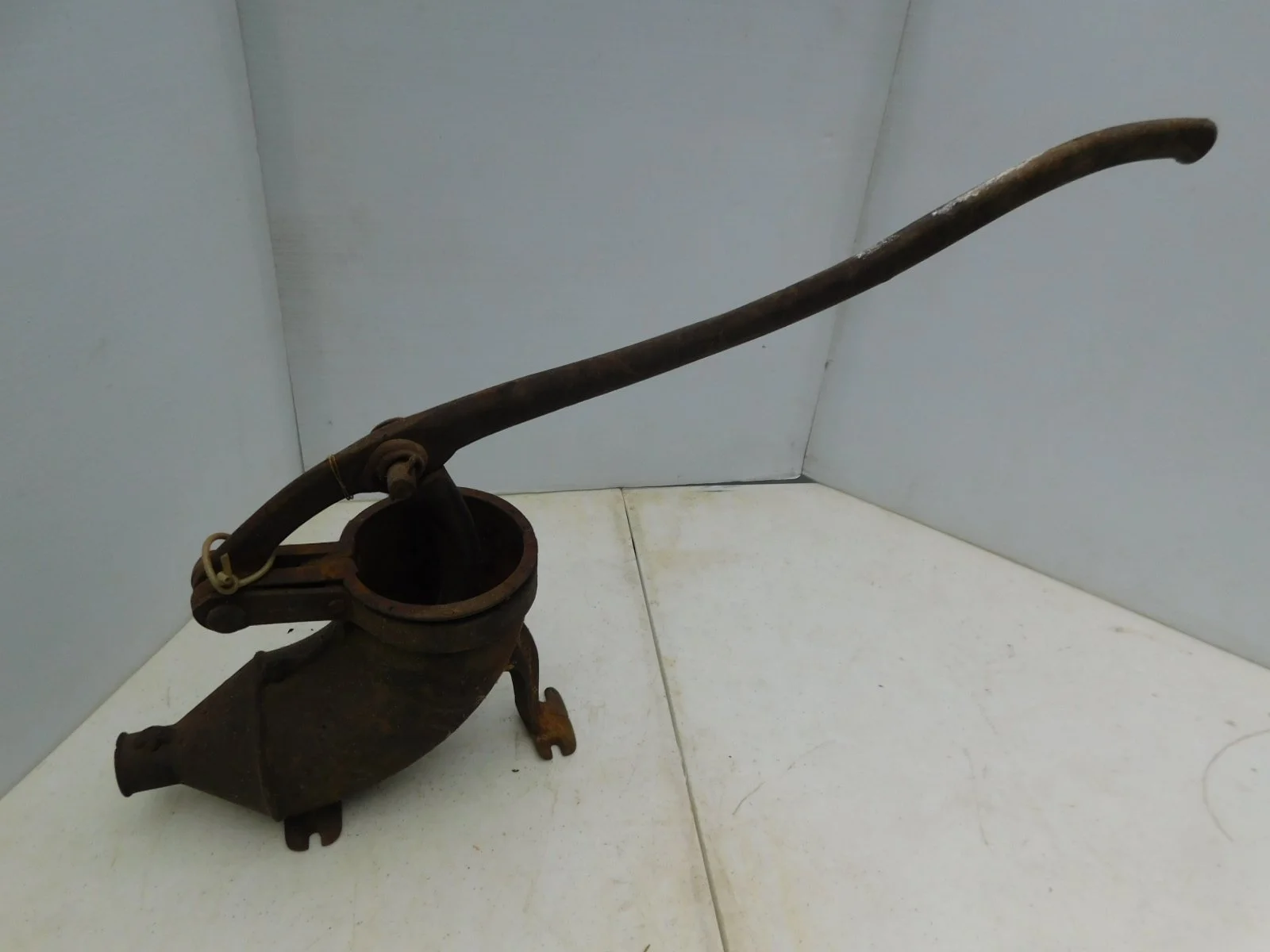 DSCN8527.JPG