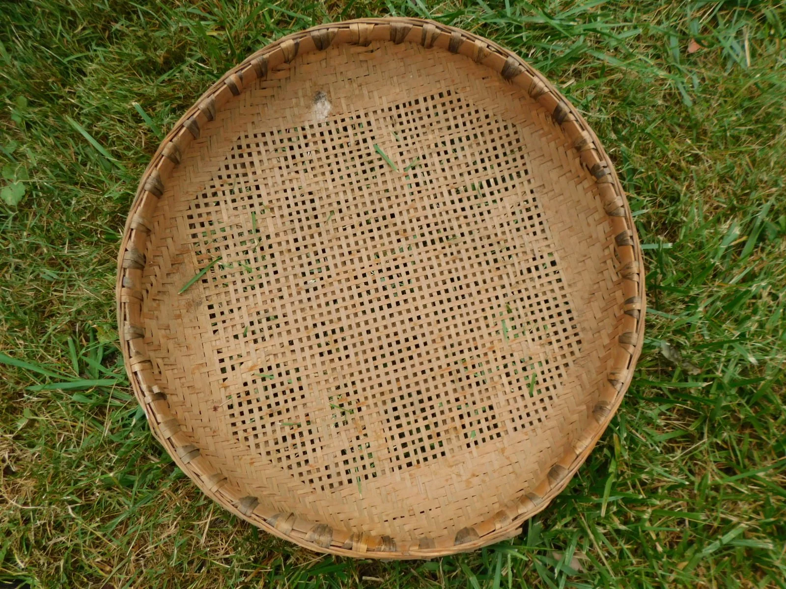 DSCN8546.JPG
