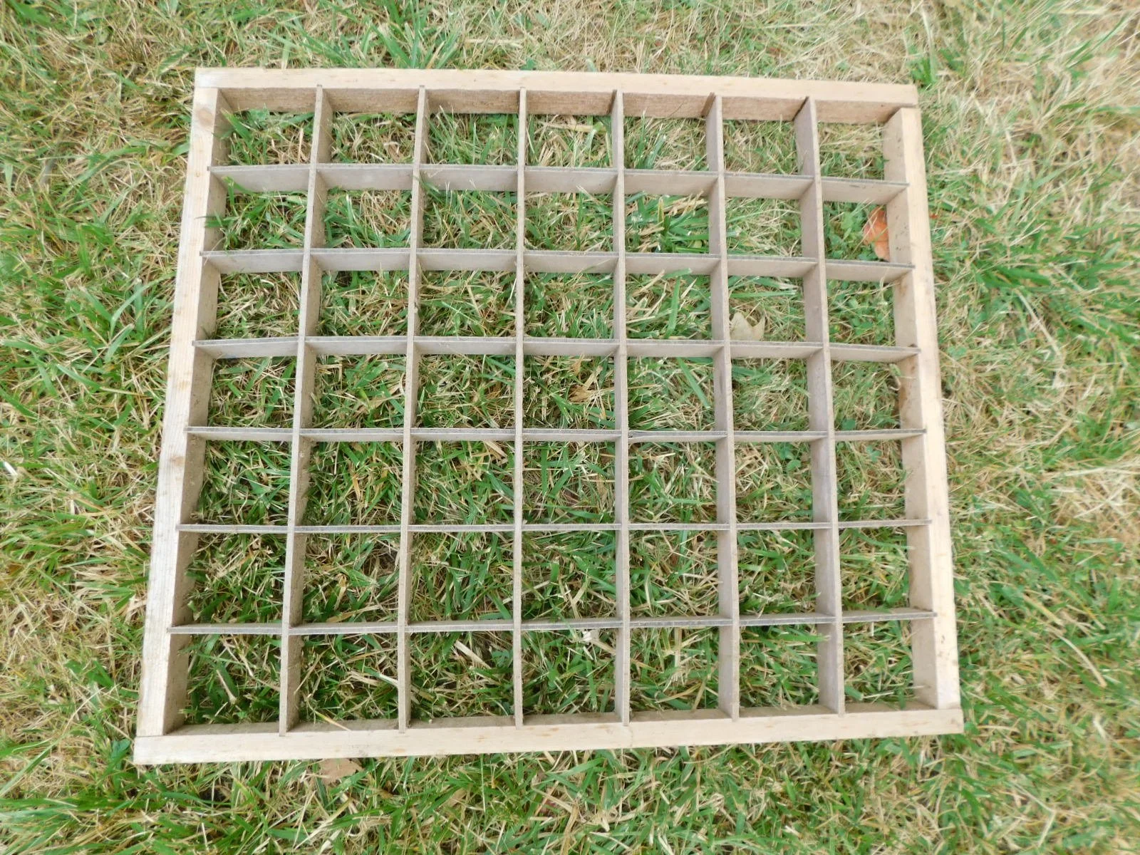 DSCN8555.JPG