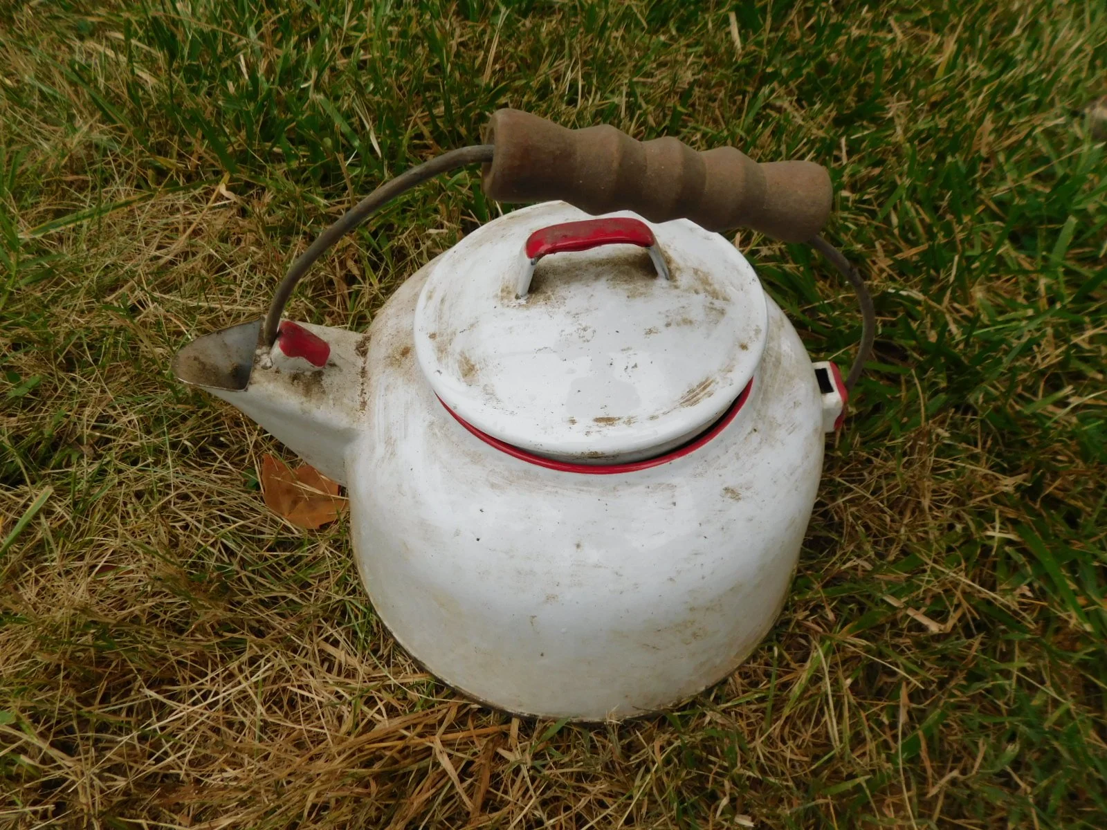 DSCN8557.JPG