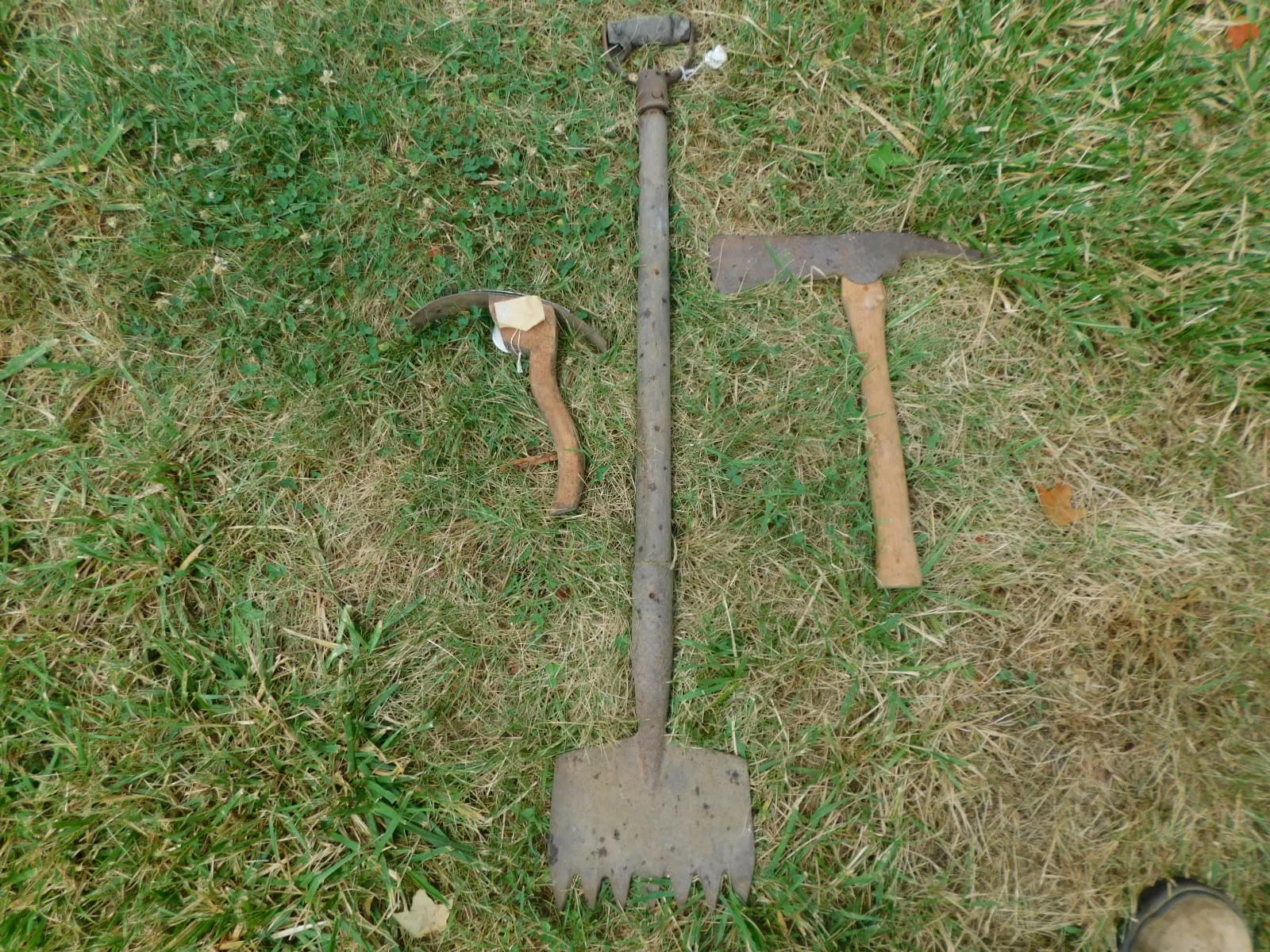 DSCN8560.JPG
