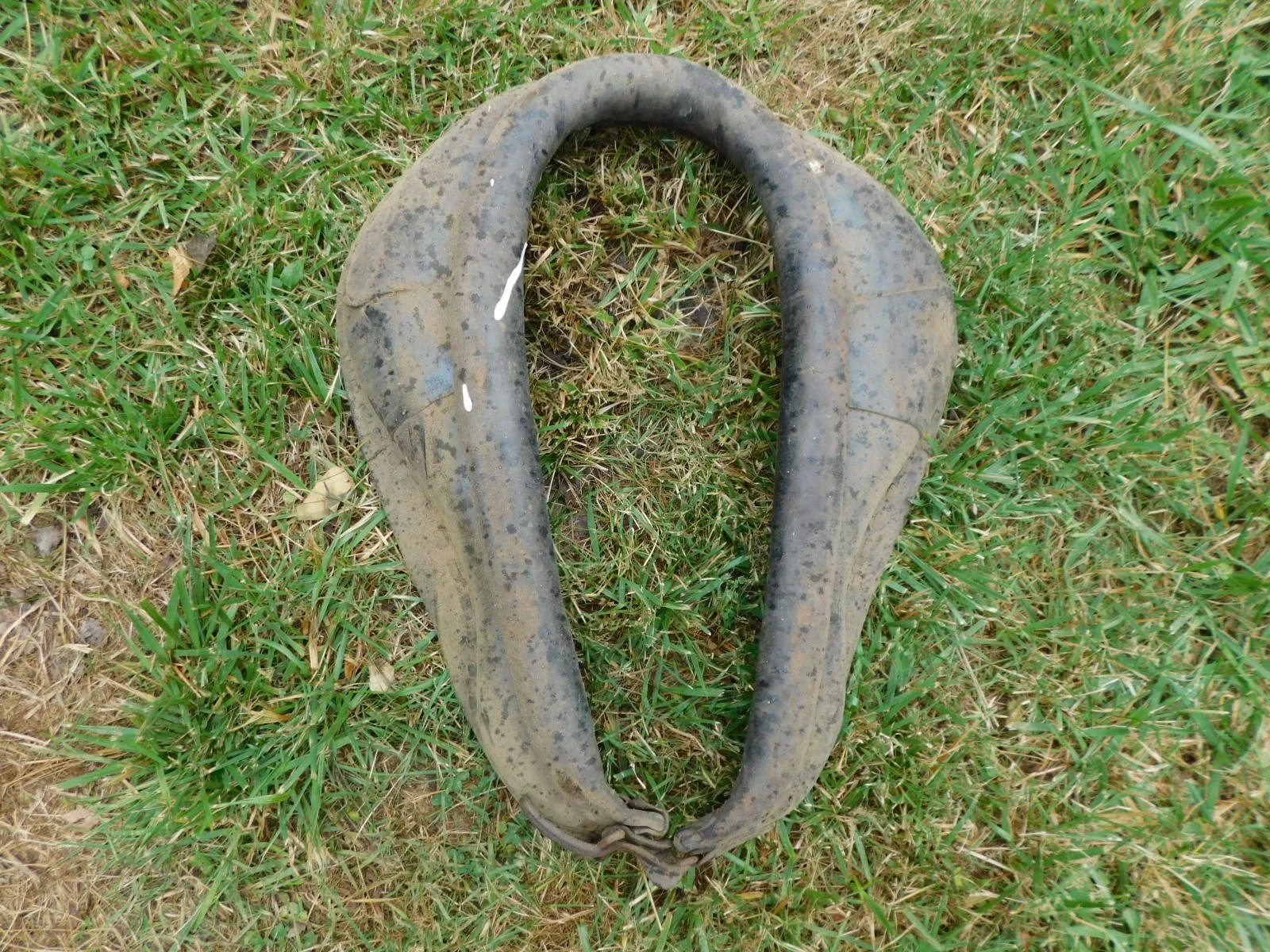 DSCN8565.JPG