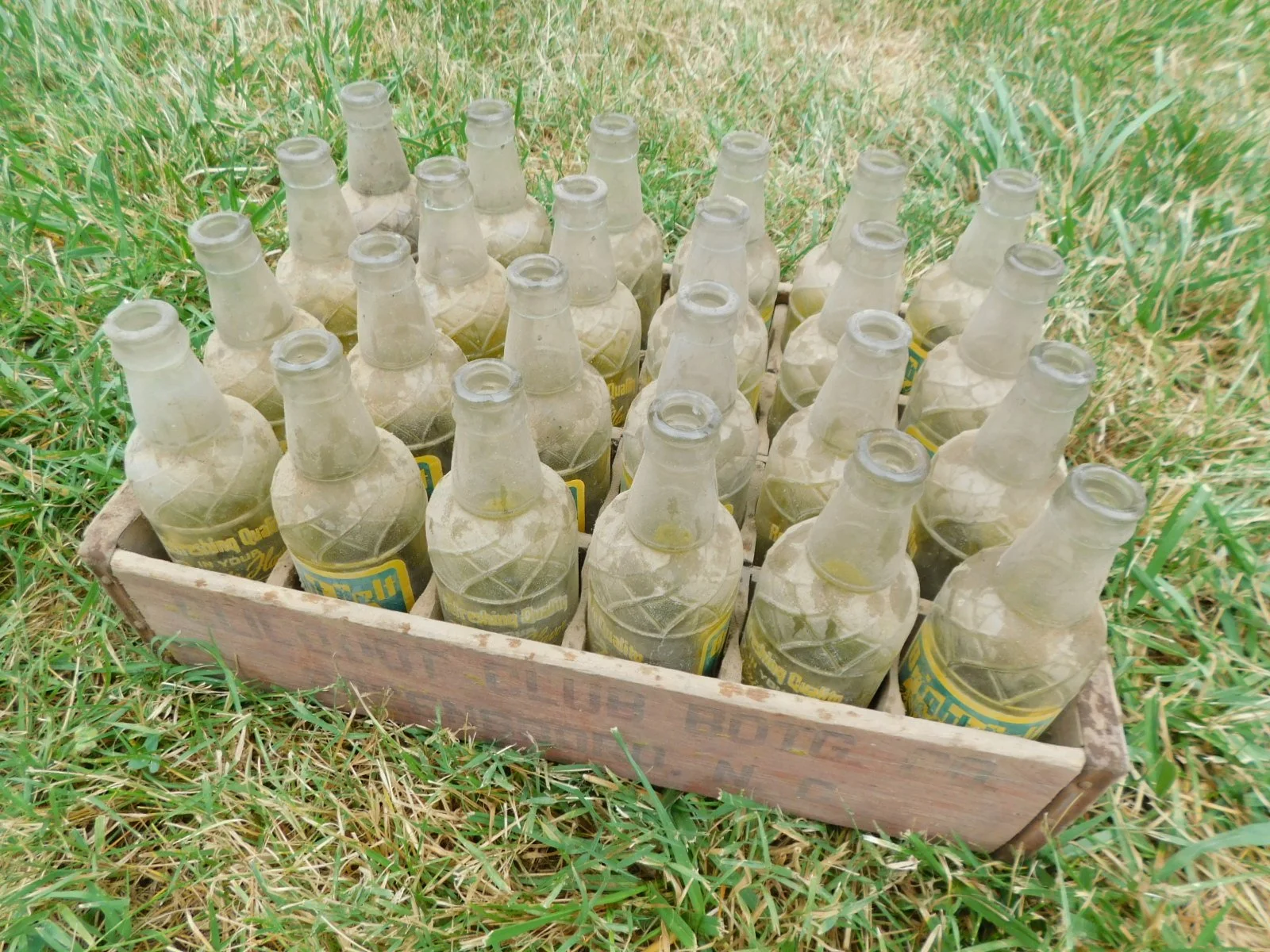 DSCN8568.JPG