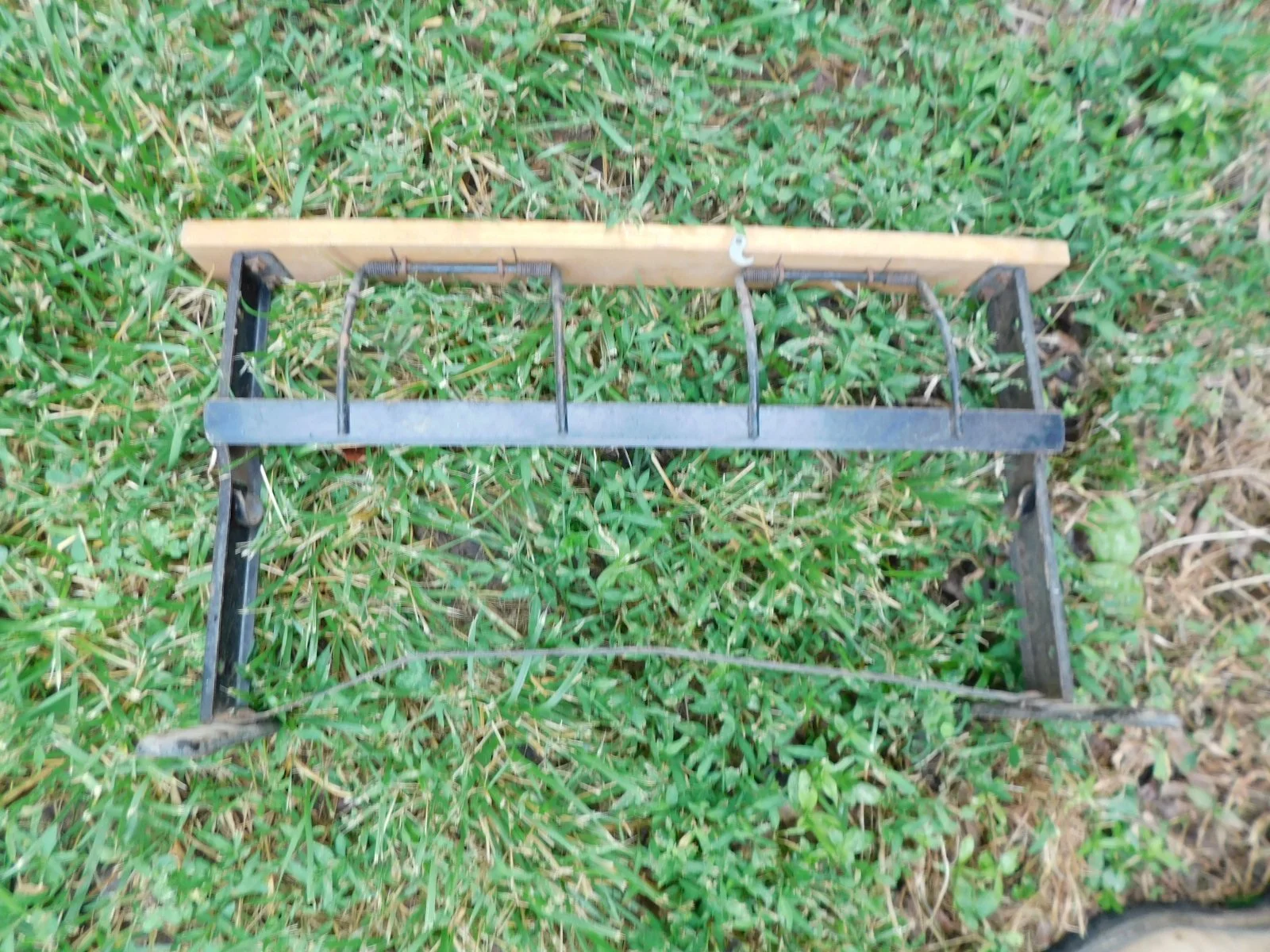 DSCN8575.JPG