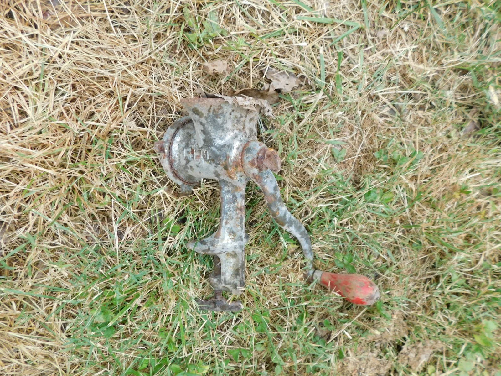 DSCN8582.JPG