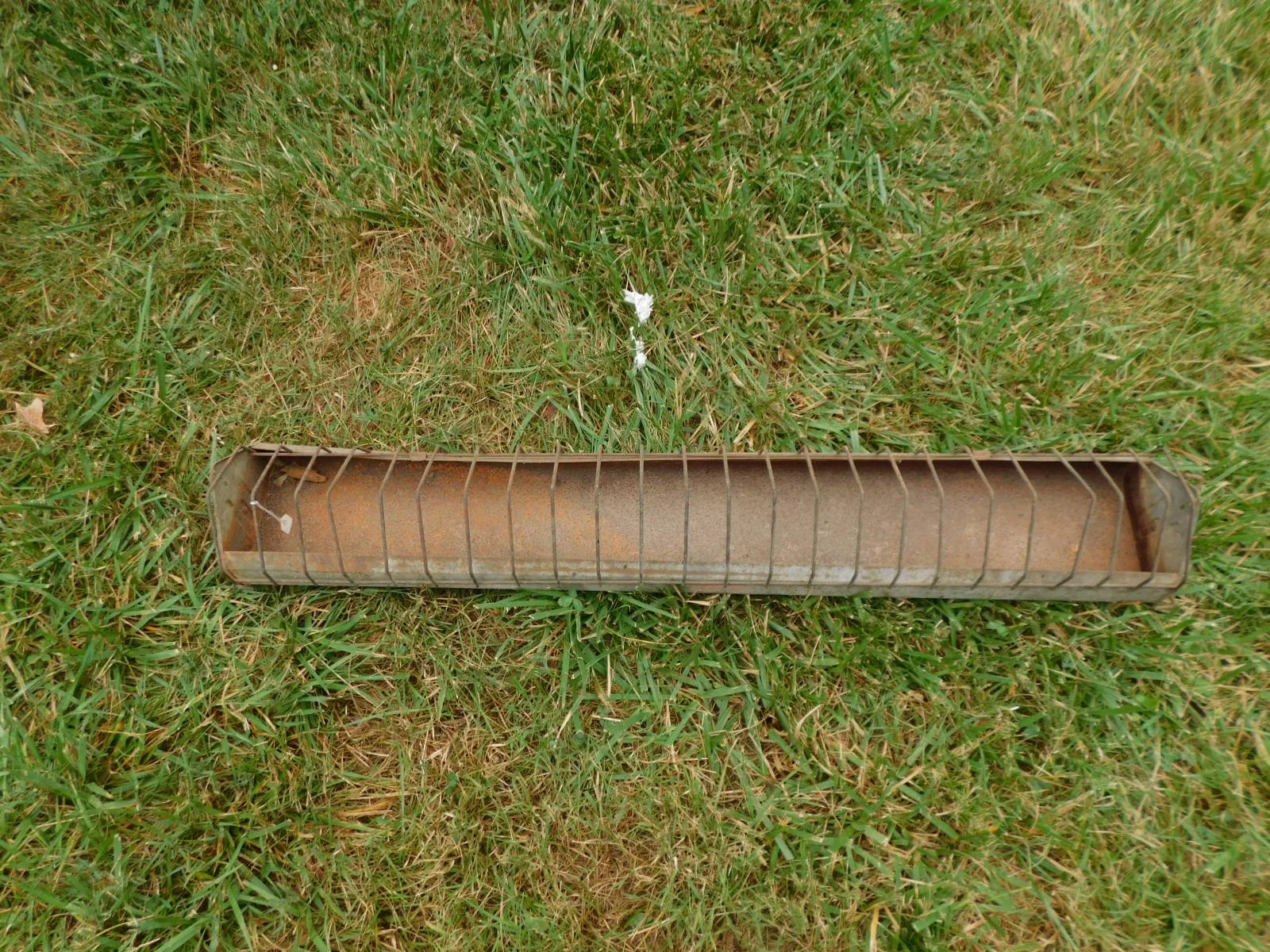 DSCN8638.JPG