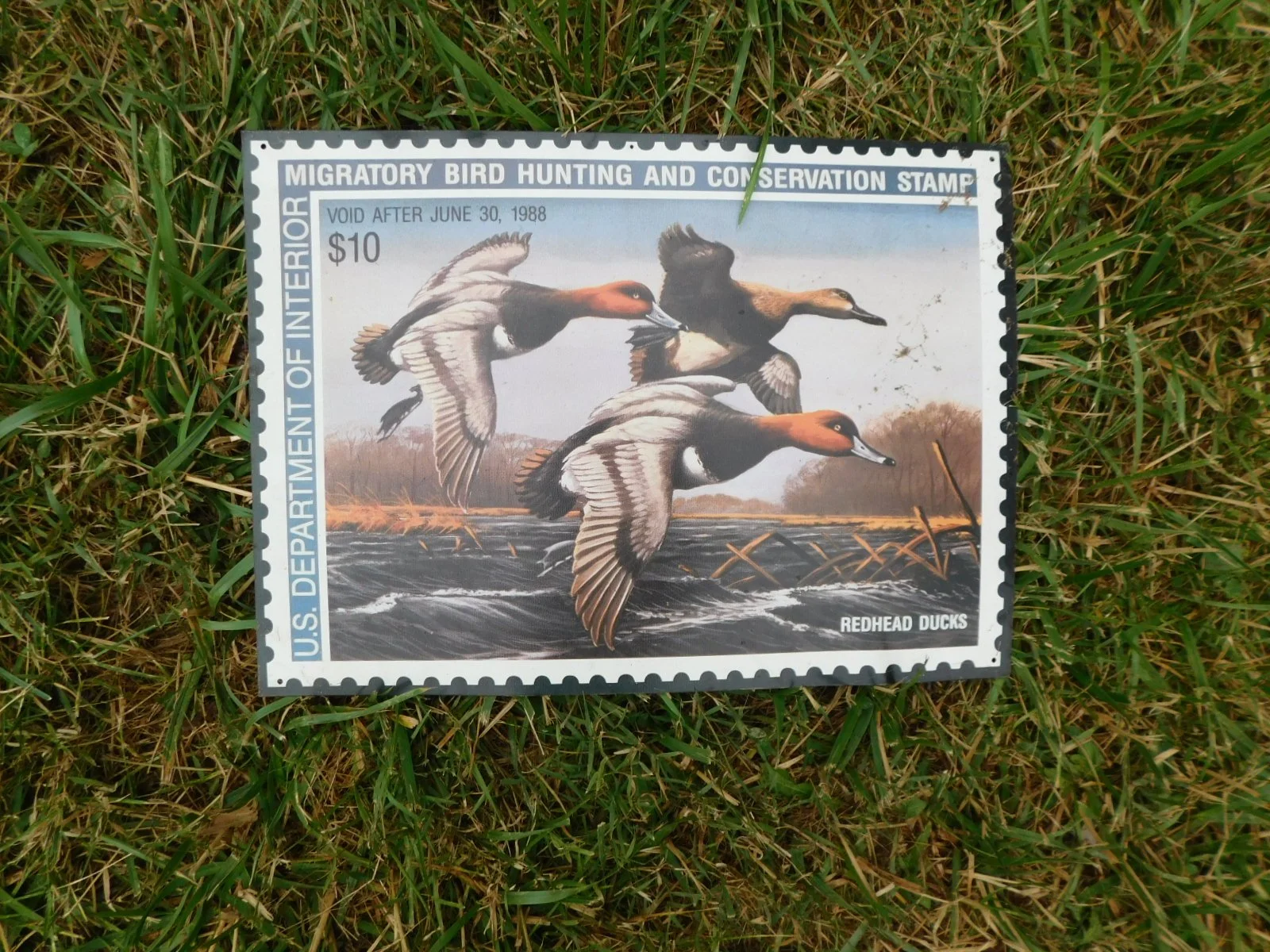 DSCN8640.JPG
