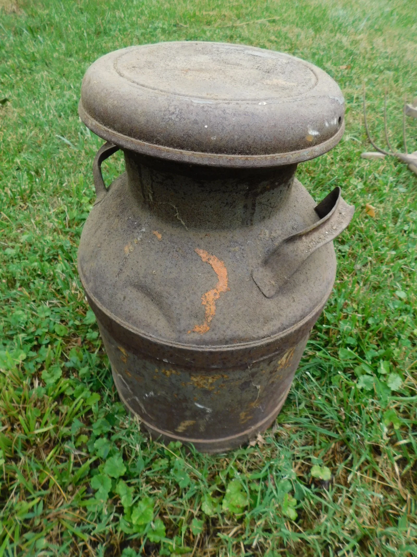 DSCN8662.JPG