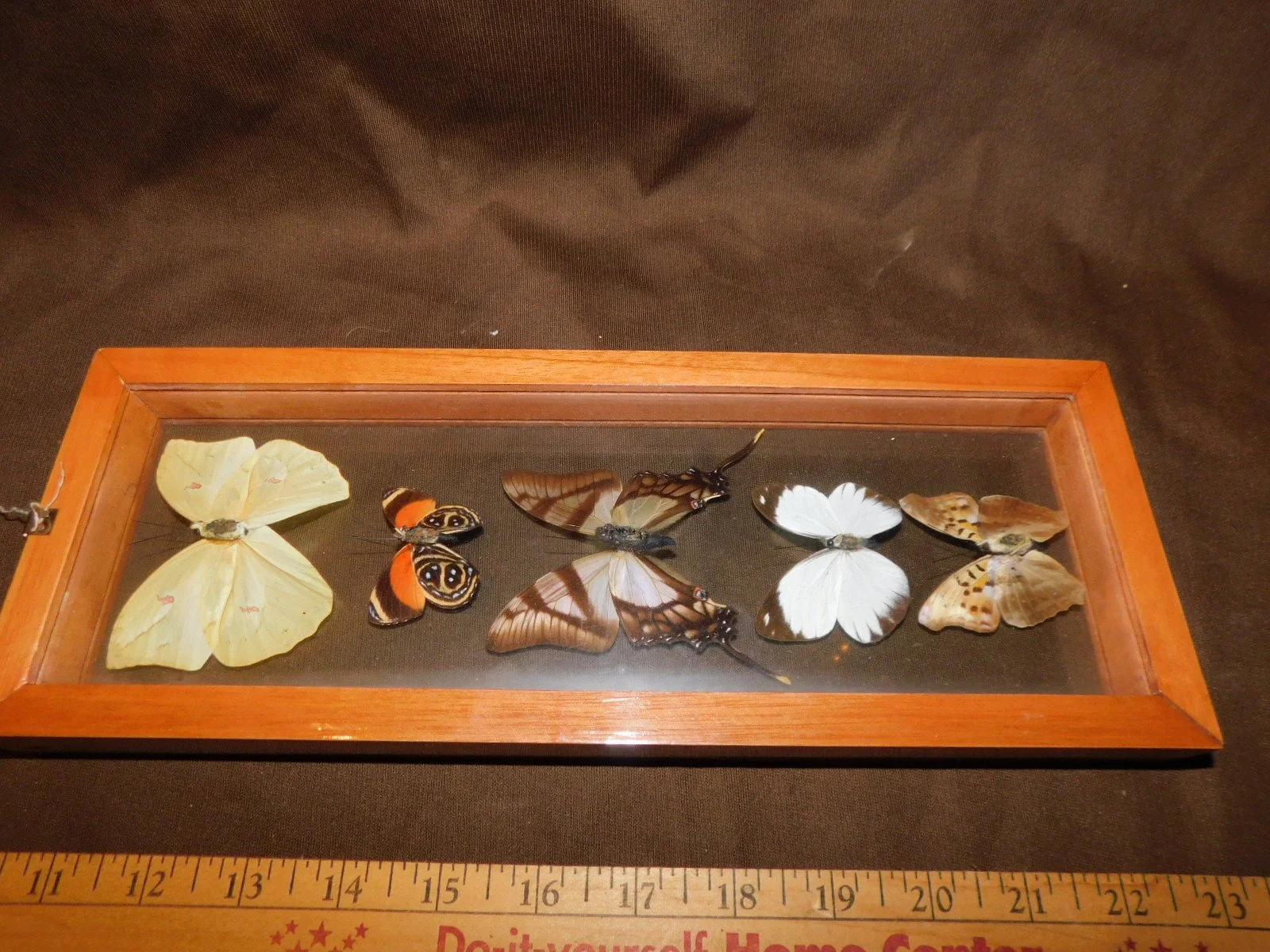 DSCN9284.JPG