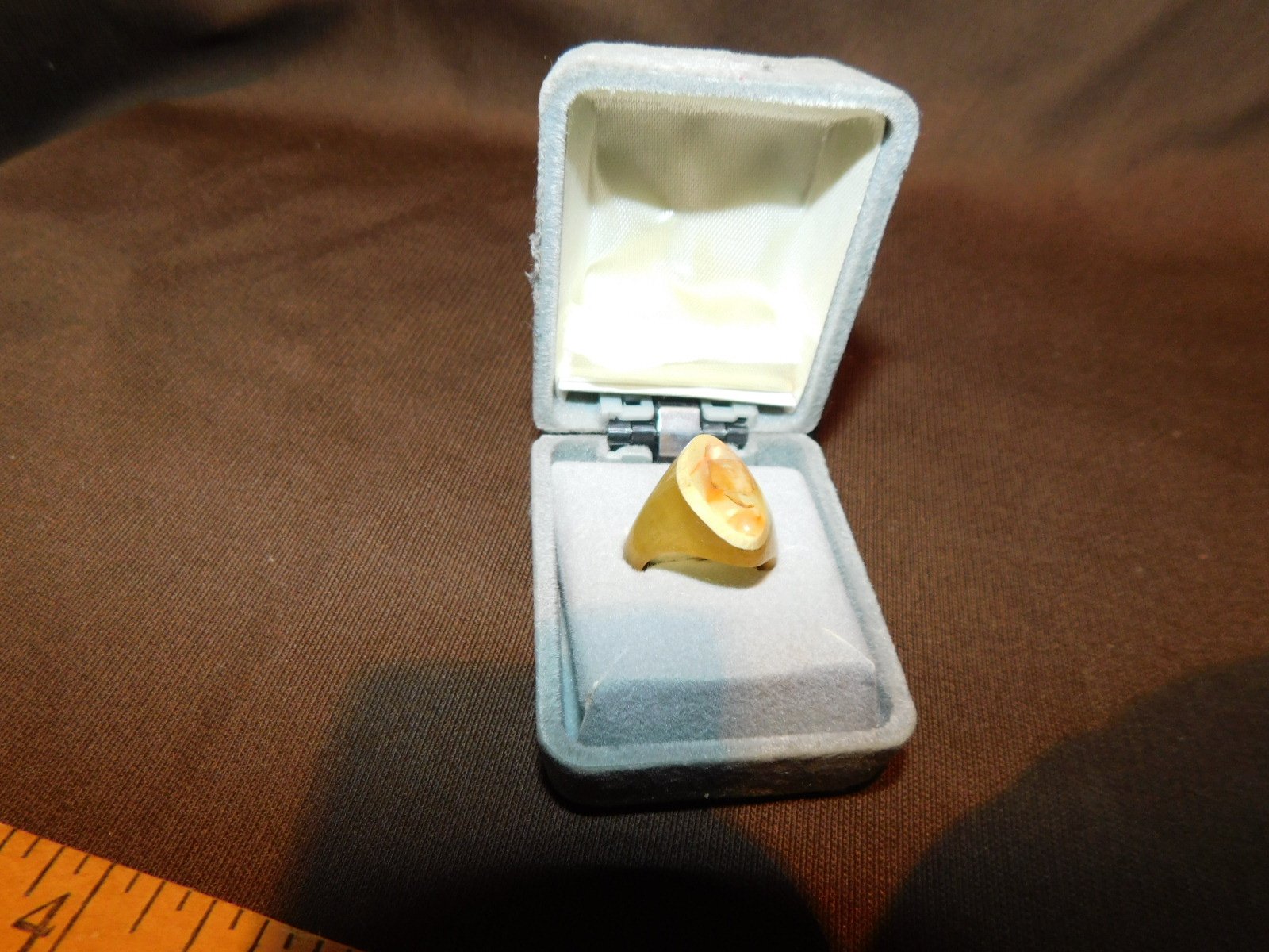 DSCN9309.JPG