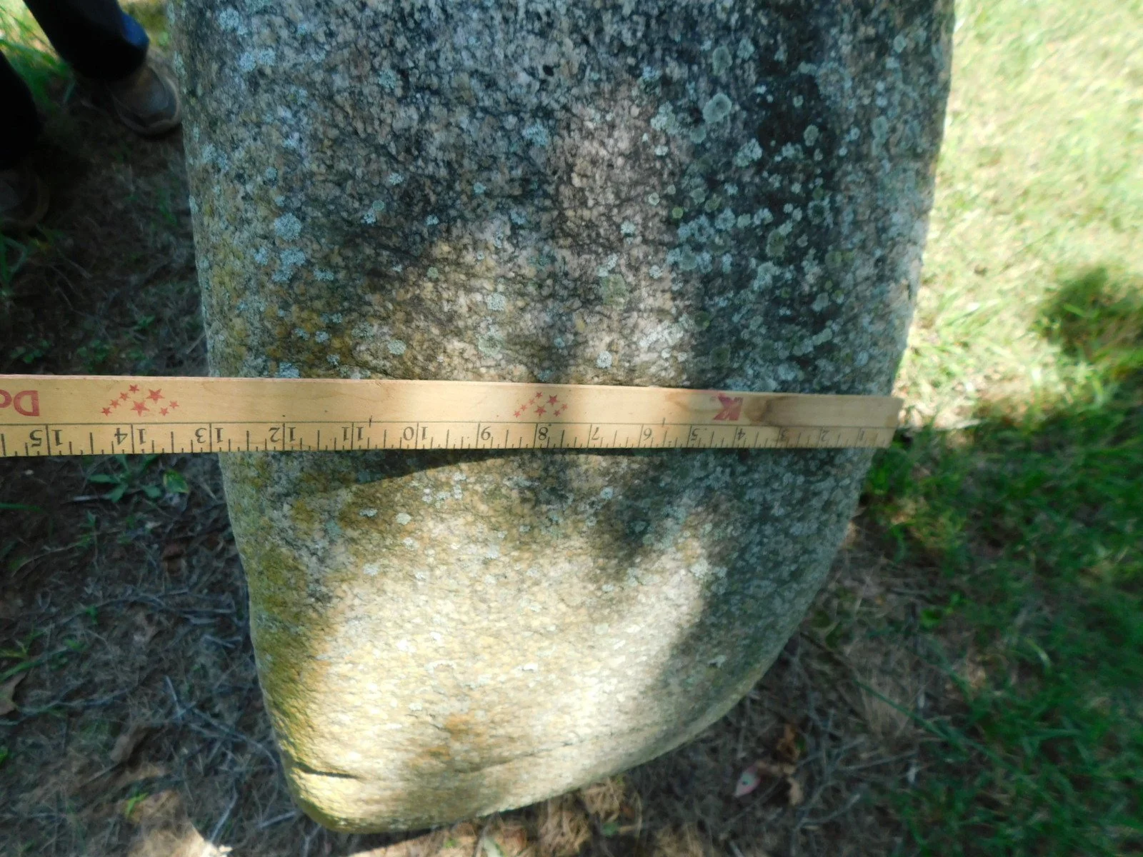 DSCN9469.JPG