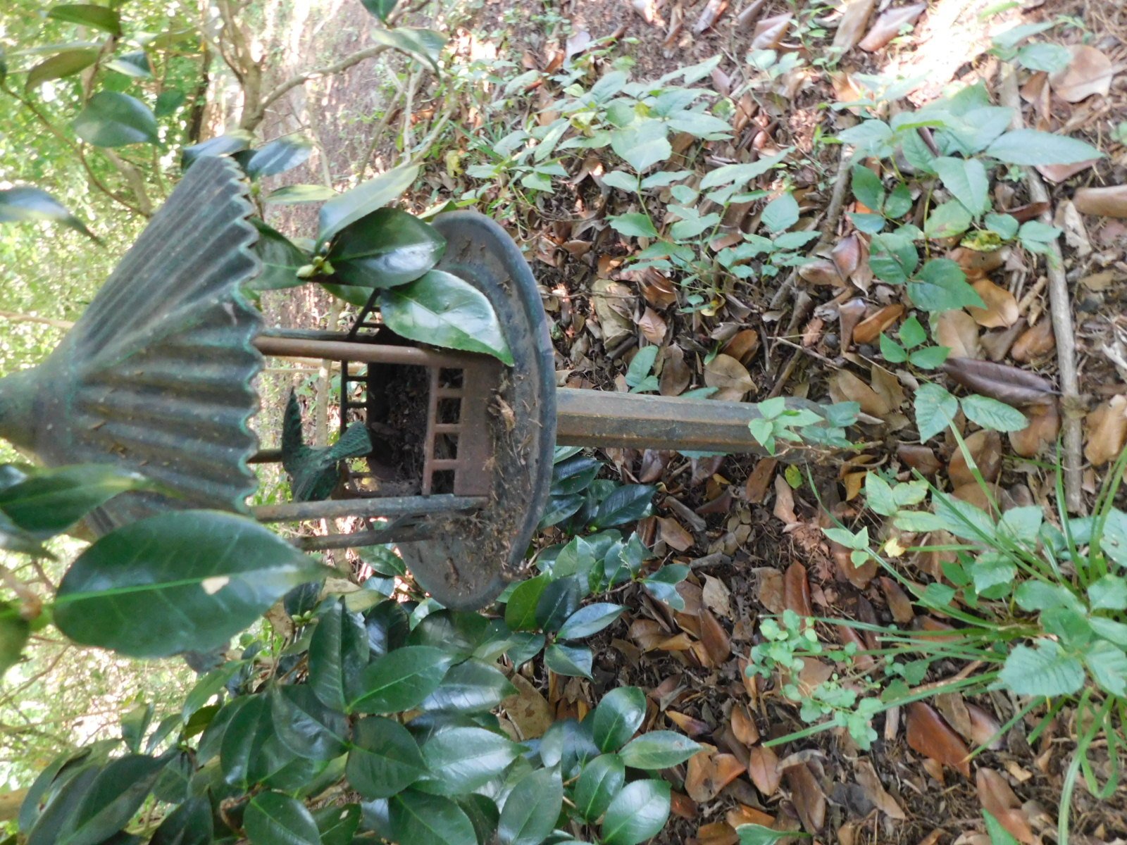 DSCN9472.JPG