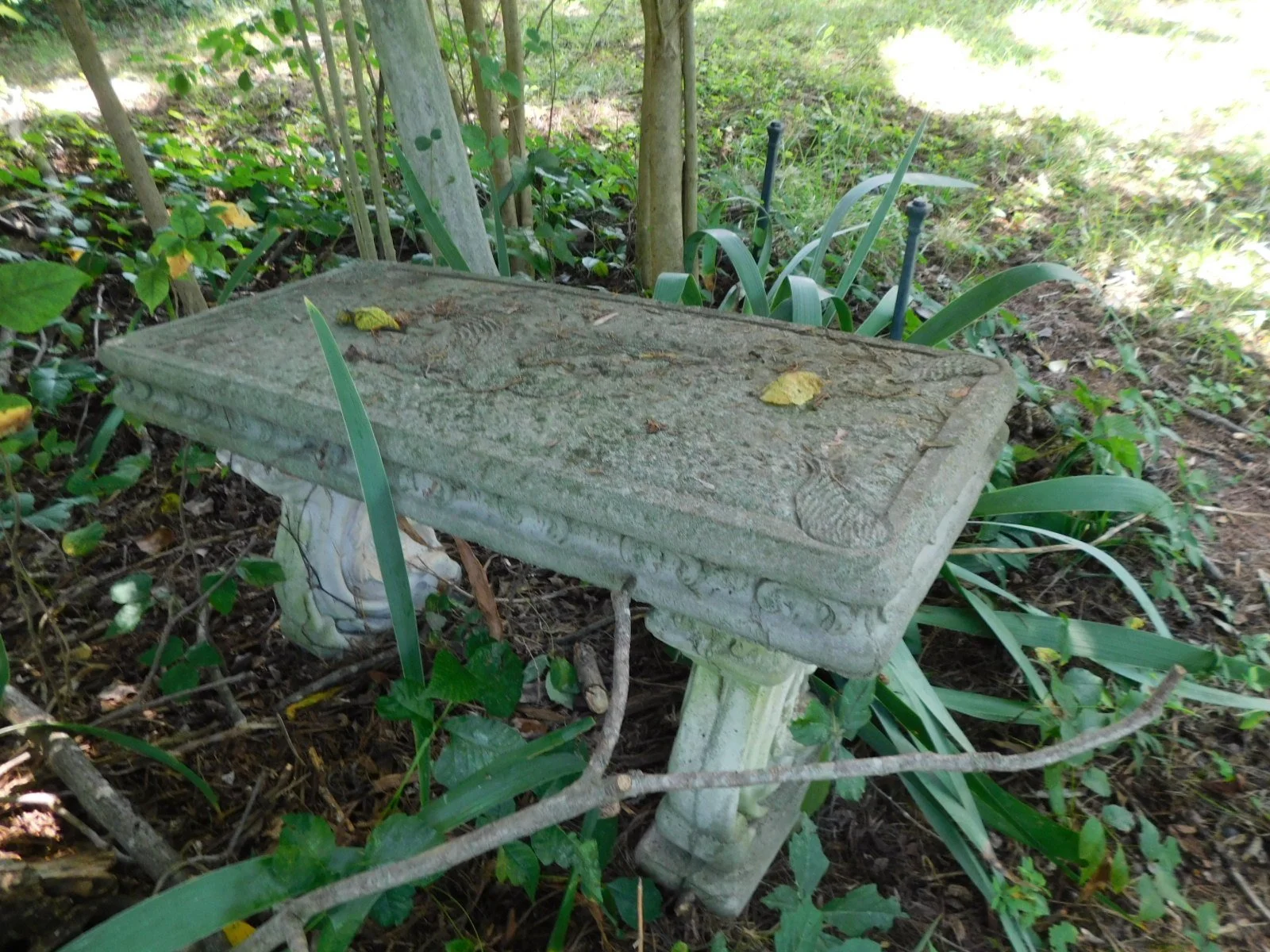 DSCN9476.JPG