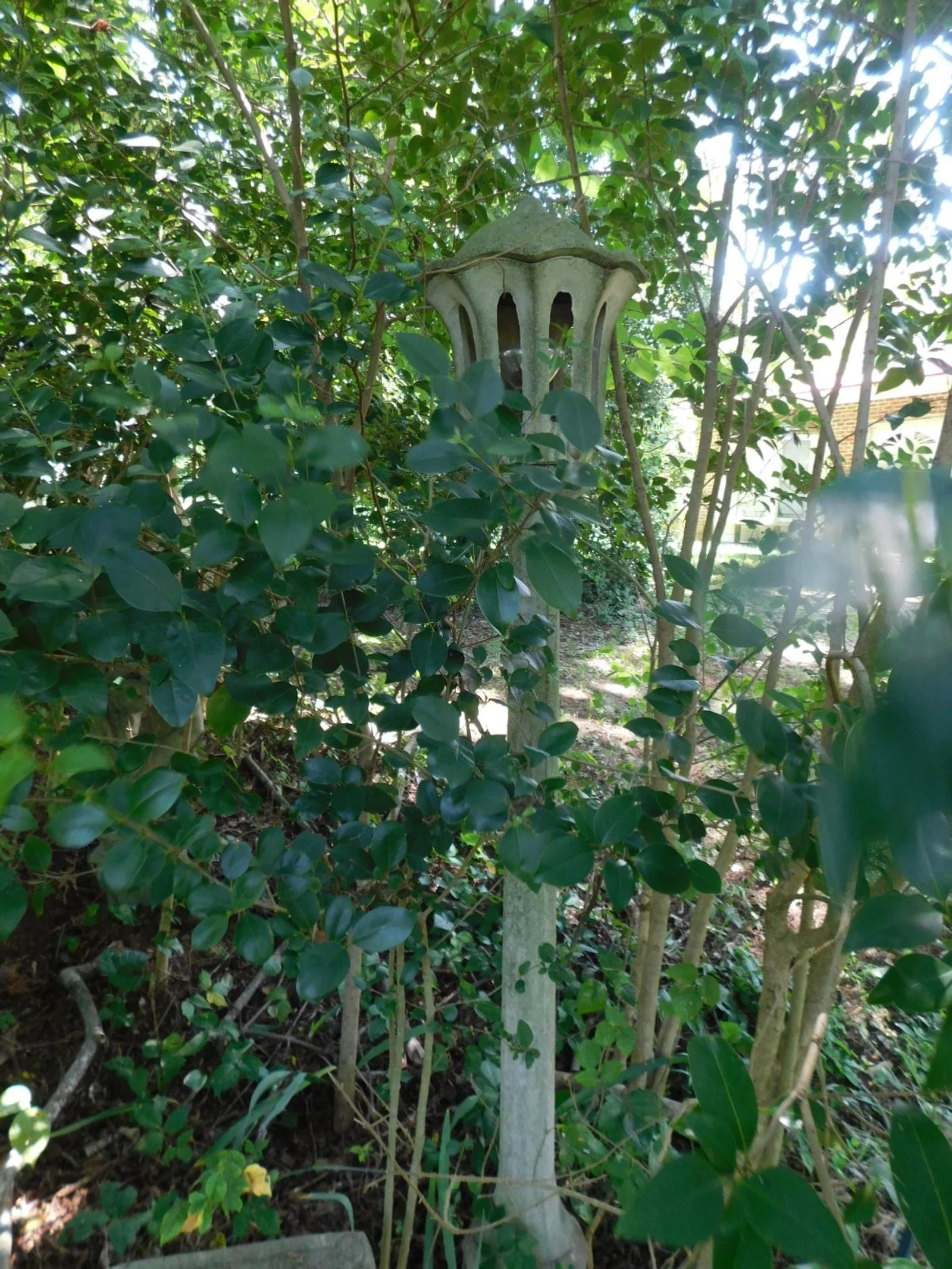 DSCN9477.JPG