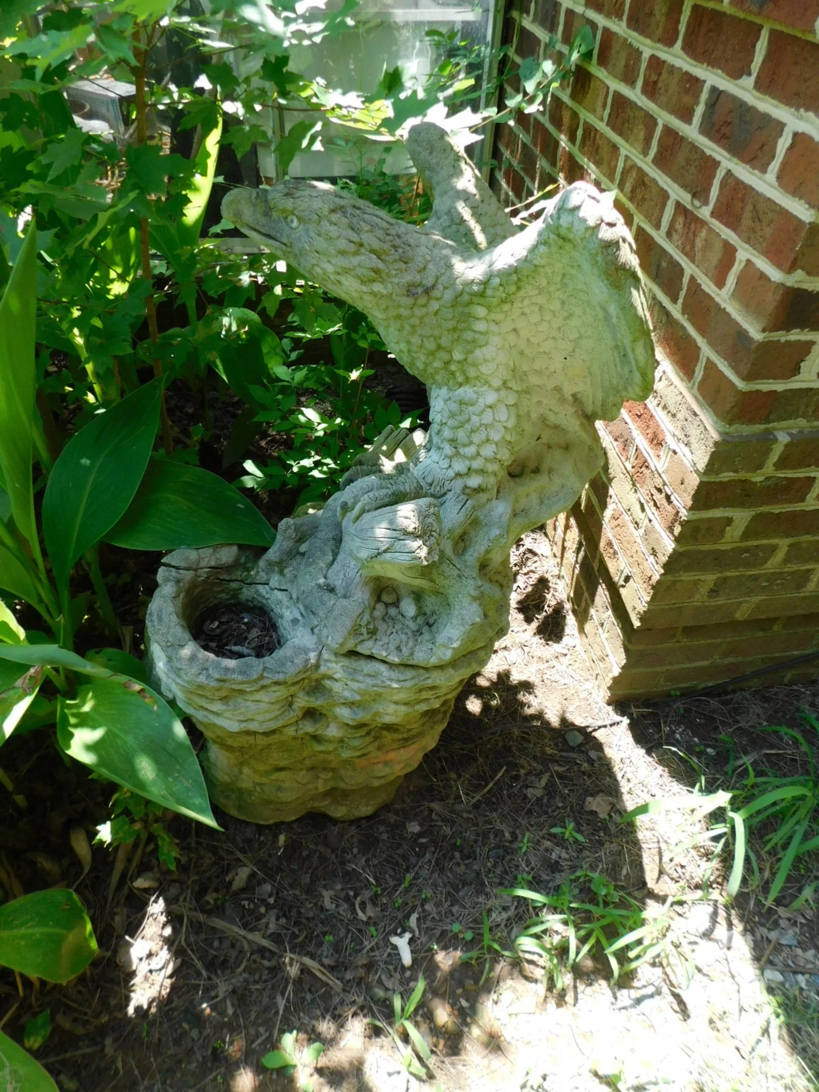 DSCN9478.JPG