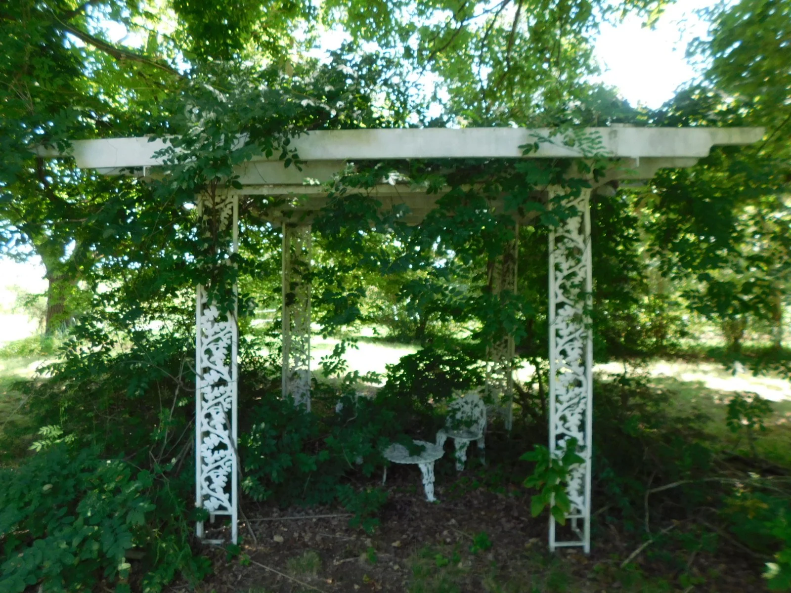 DSCN9479.JPG