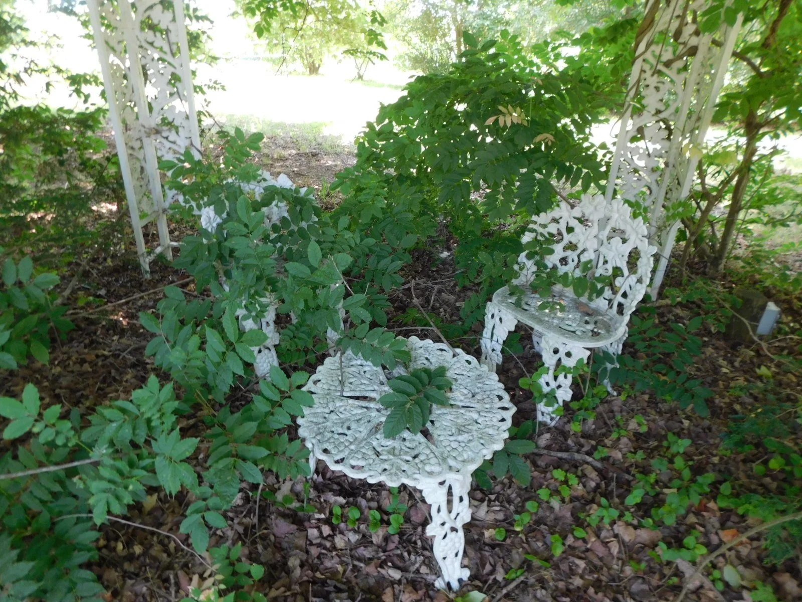DSCN9480.JPG