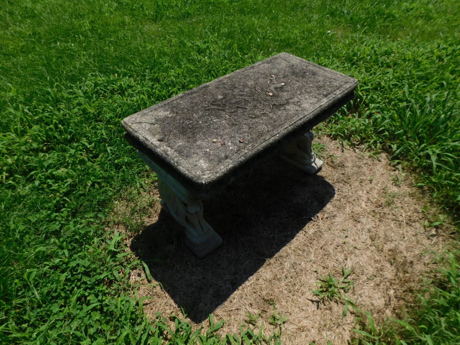 DSCN9482.JPG