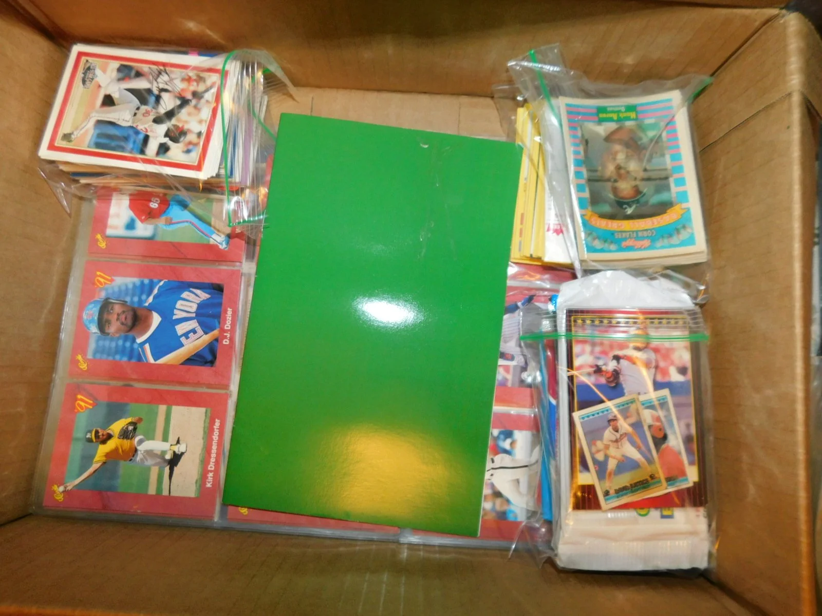 DSCN9668.JPG
