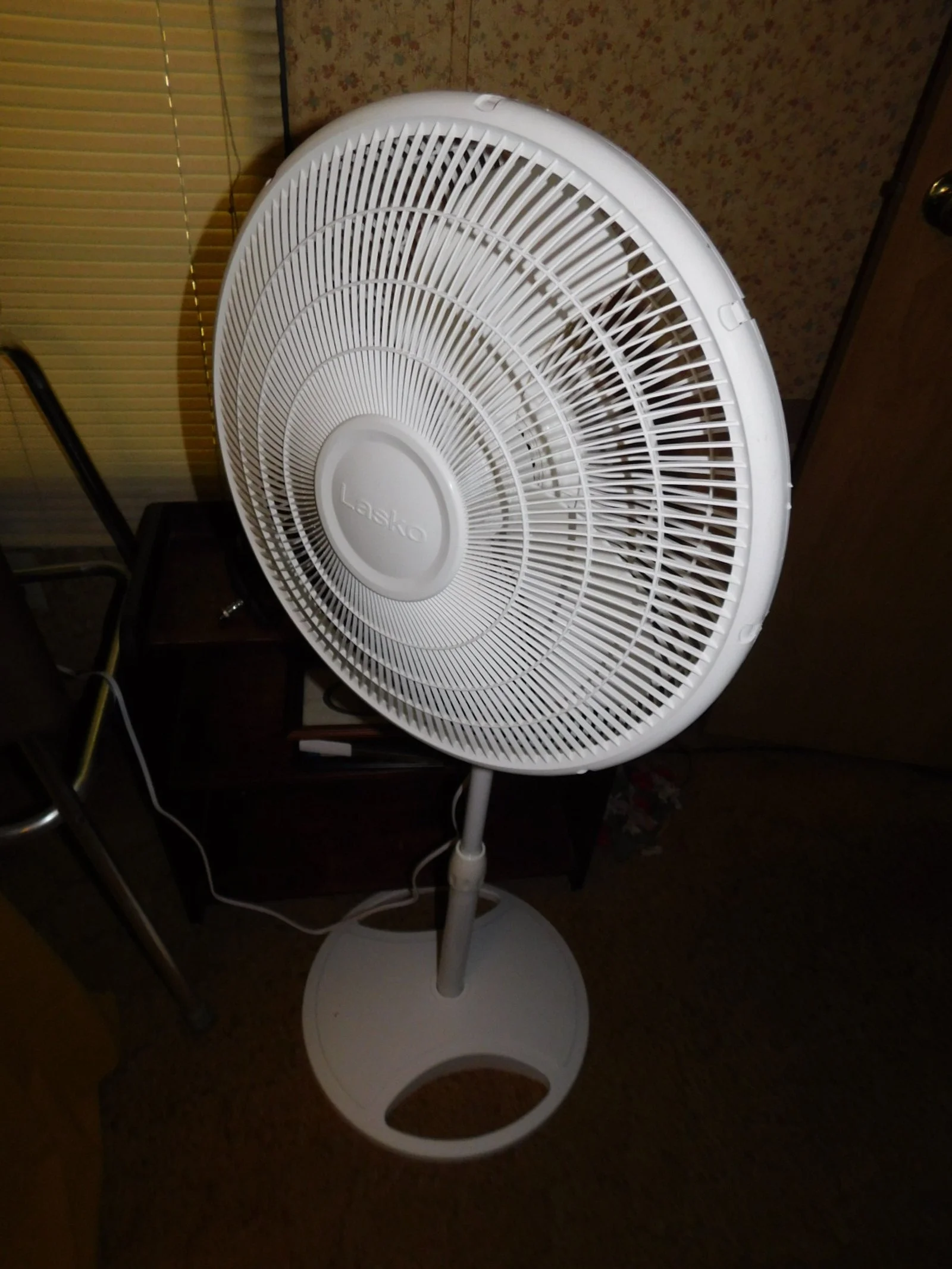 DSCN9678.JPG