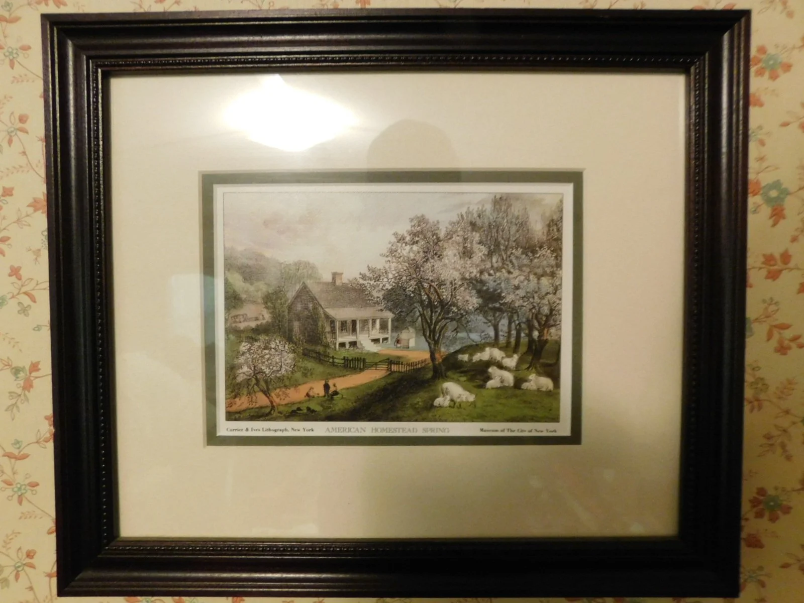 DSCN9679.JPG