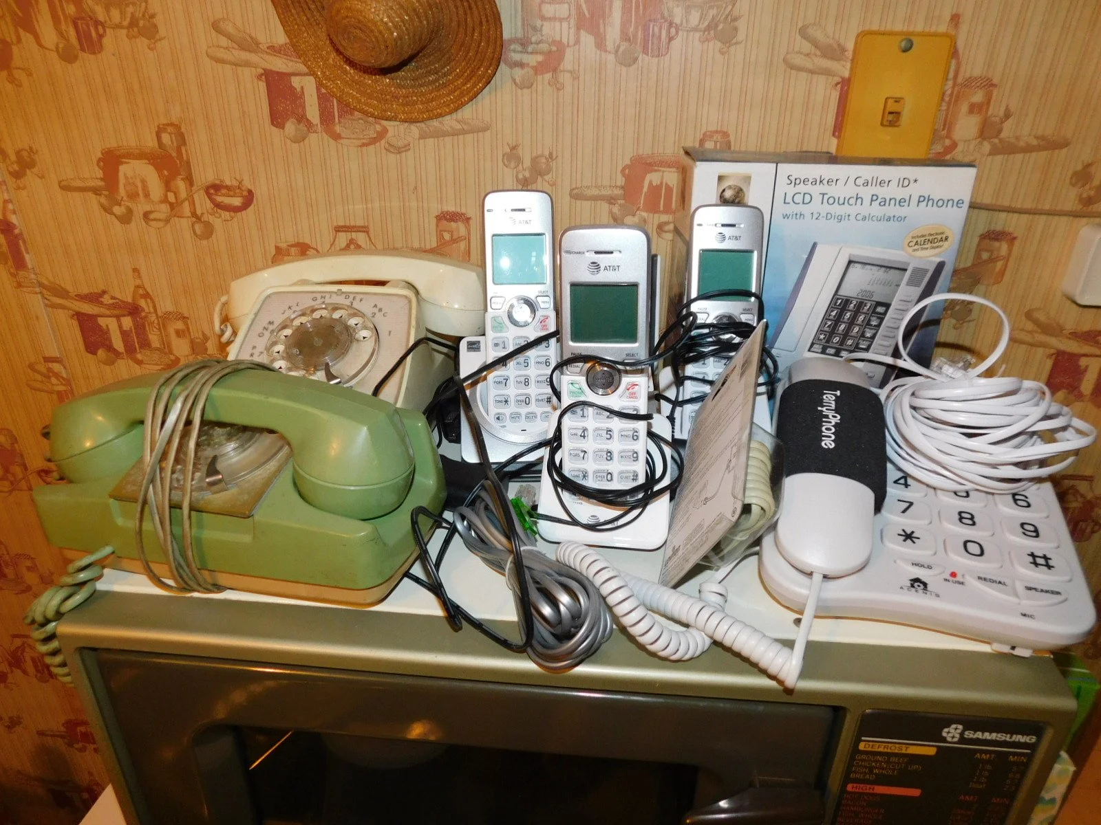 DSCN9765.JPG