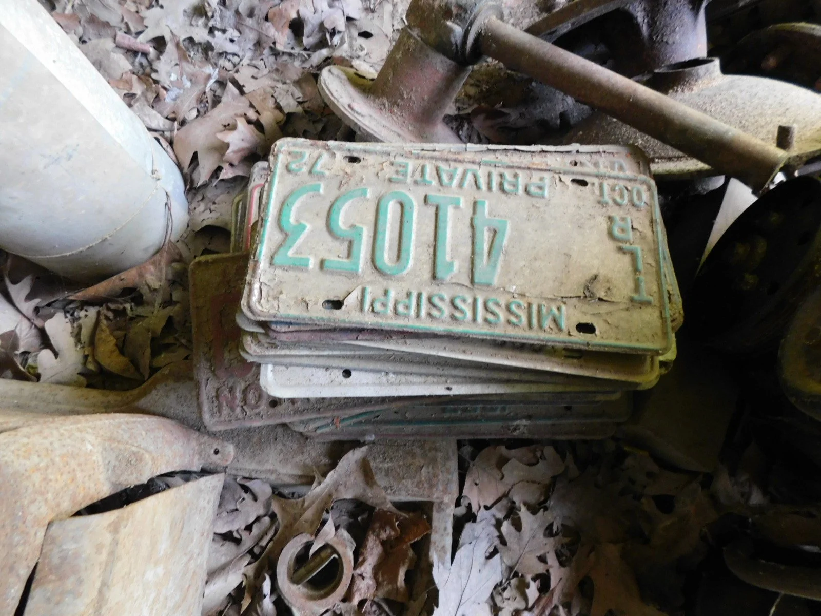 DSCN9853.JPG