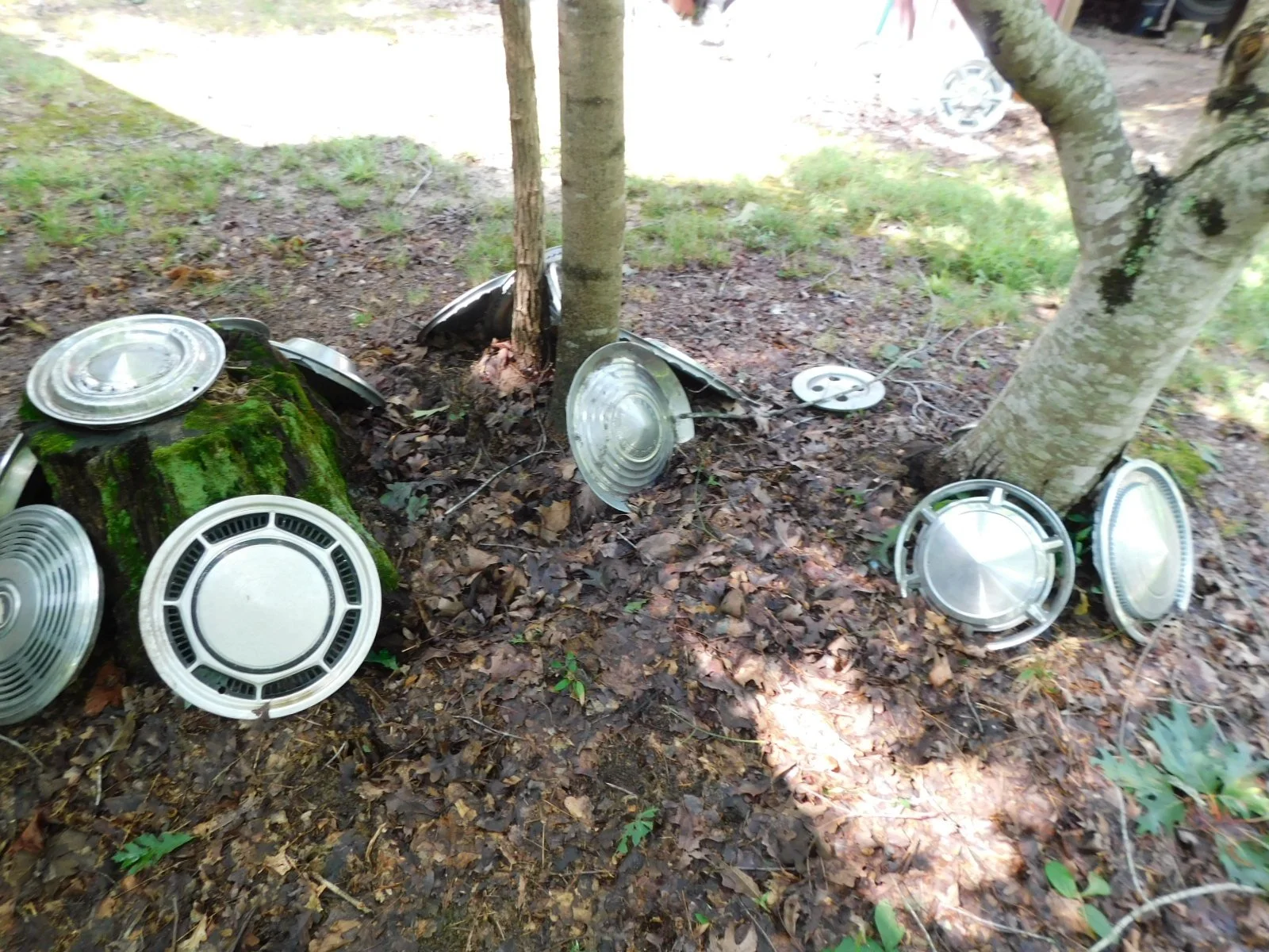 DSCN9874.JPG