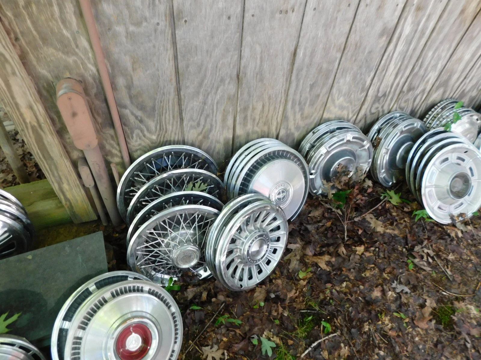 DSCN9877.JPG