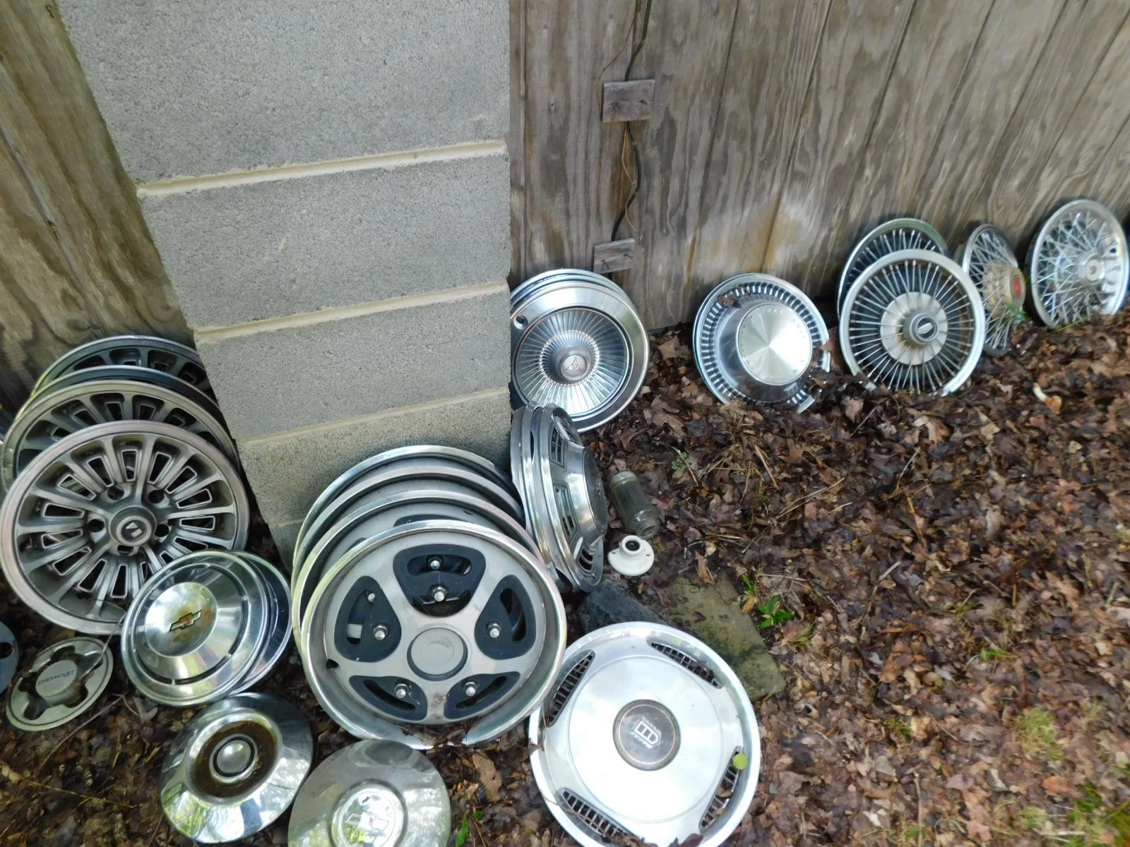 DSCN9879.JPG