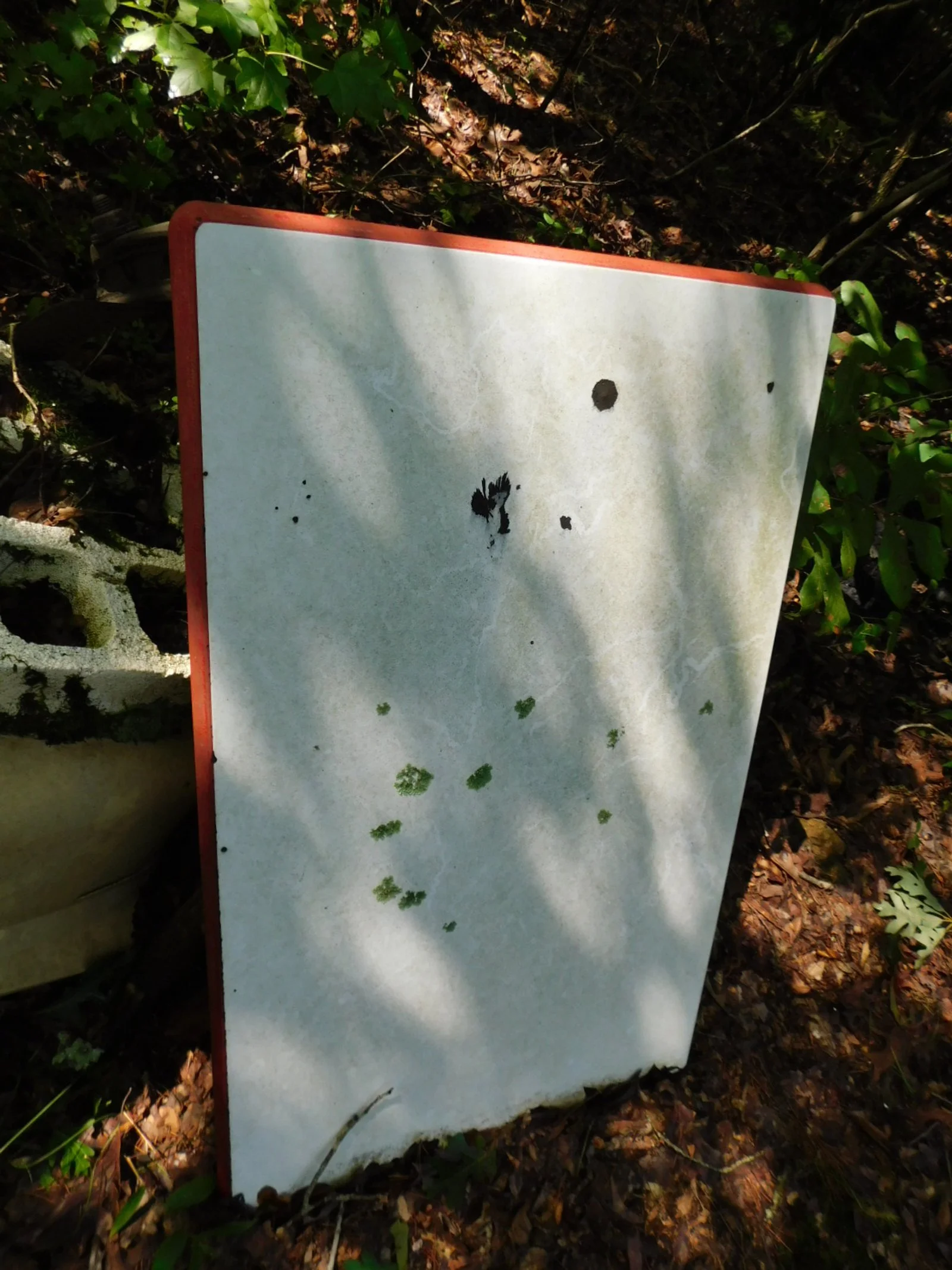 DSCN9895.JPG