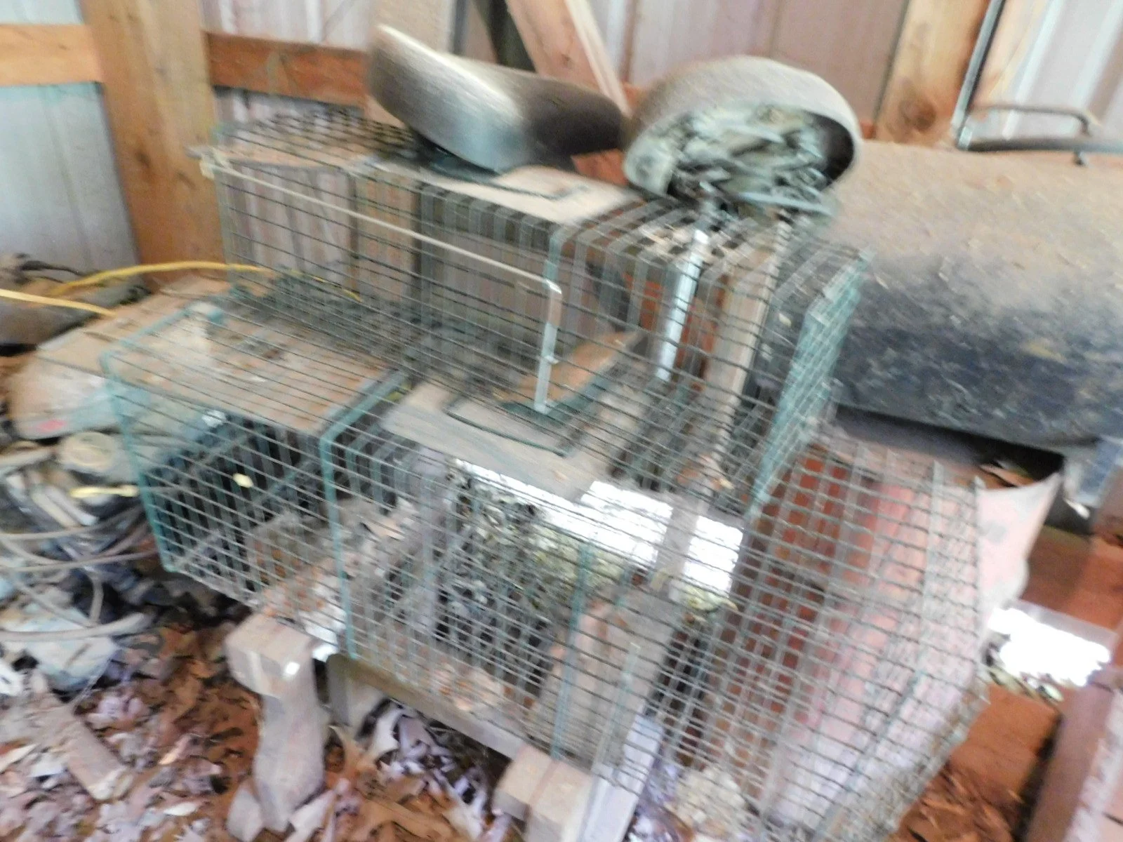DSCN9926.JPG