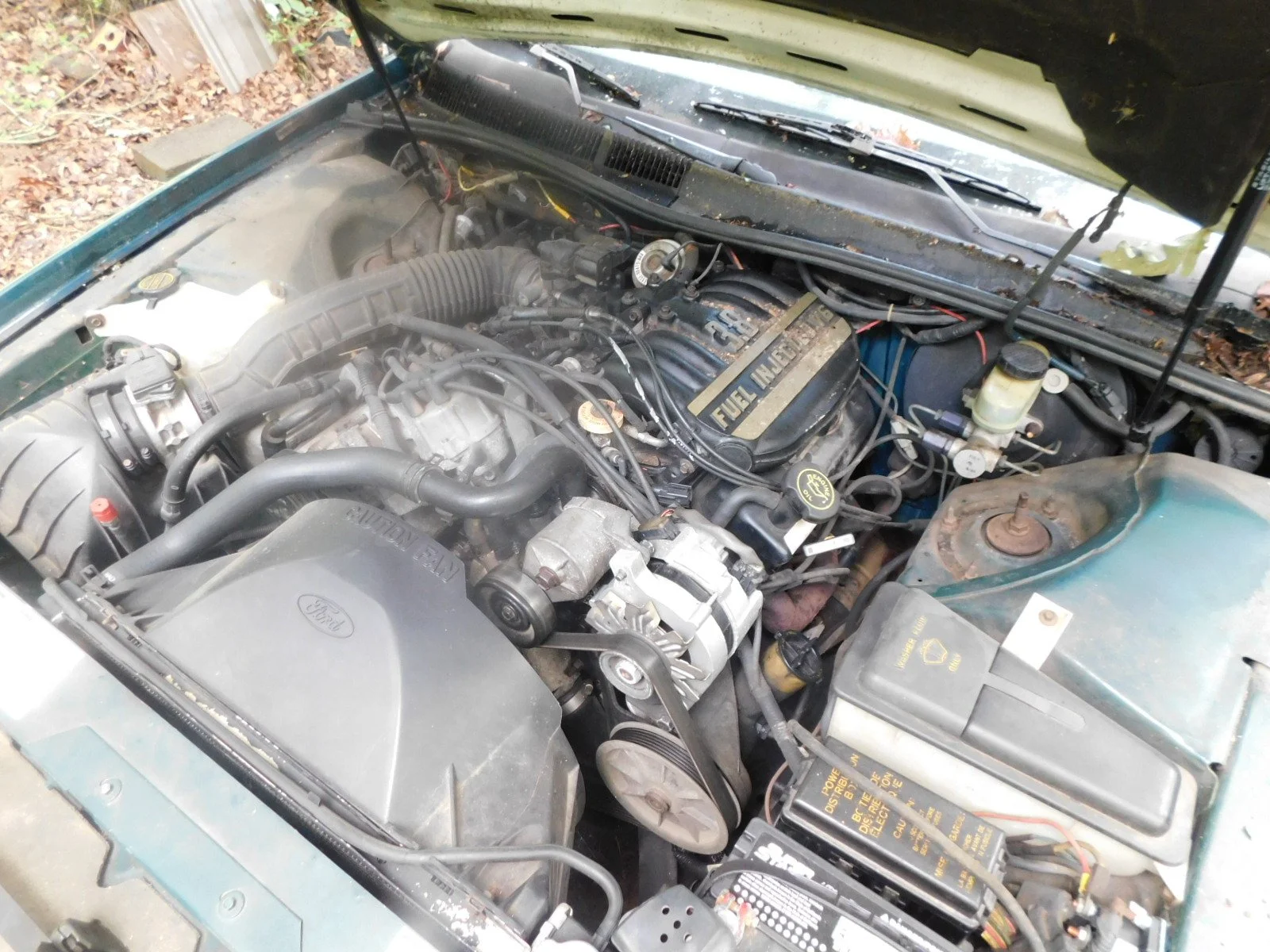 DSCN9930.JPG
