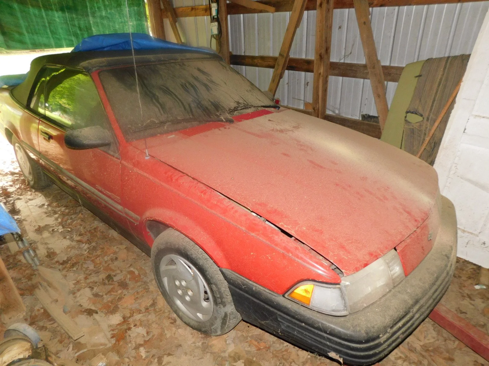 DSCN9943.JPG