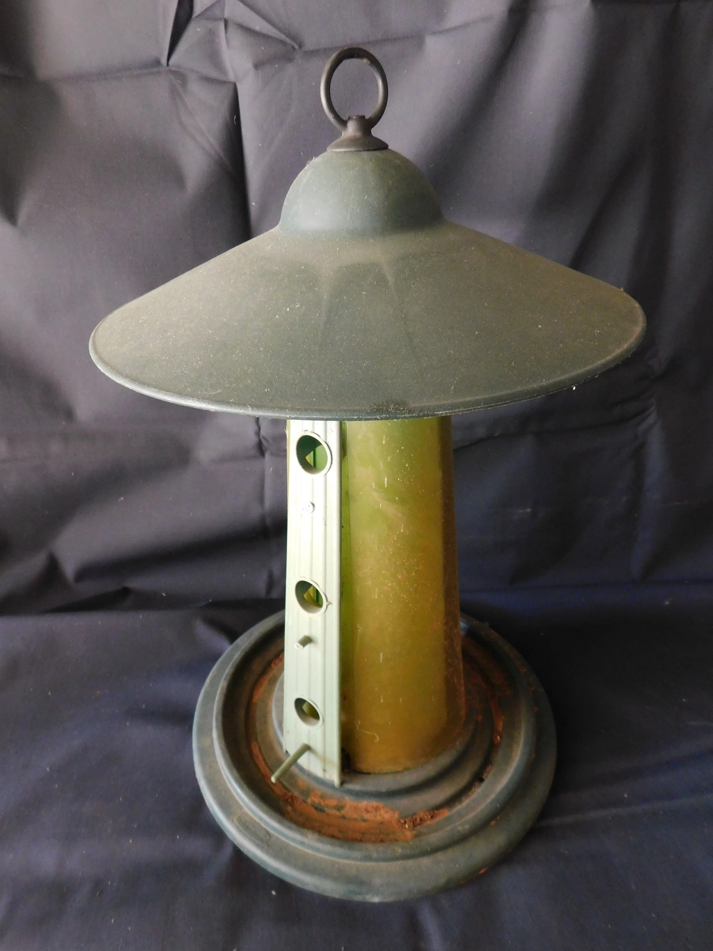 DSCN0198.JPG
