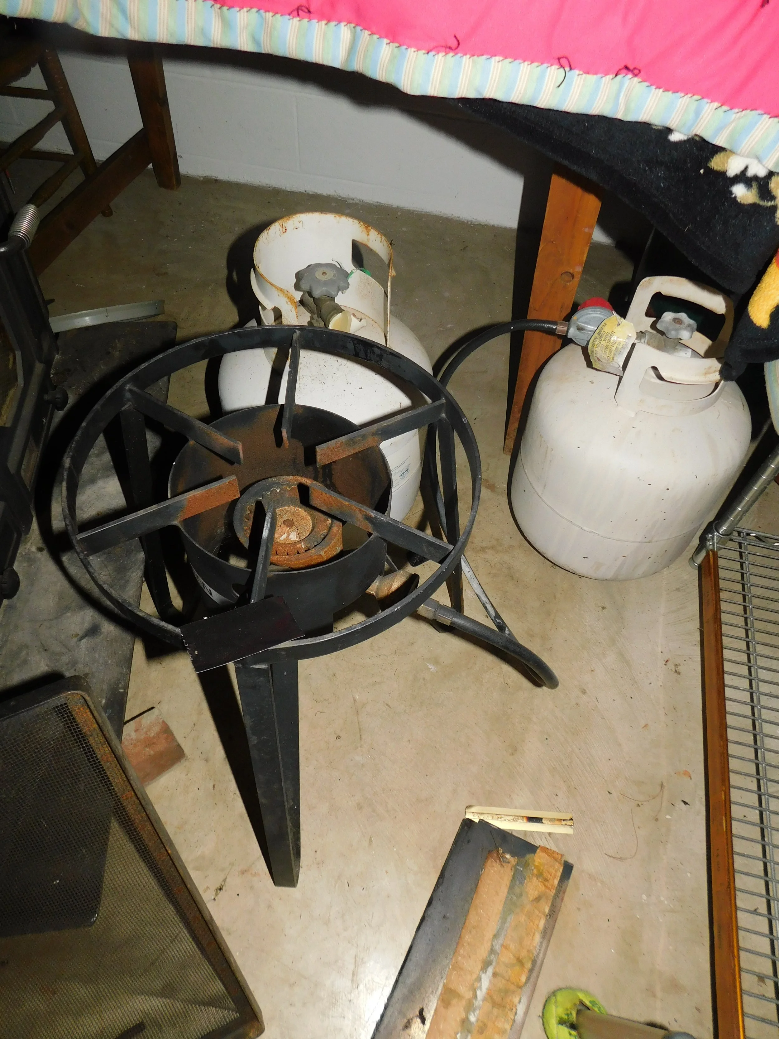 DSCN0365.JPG