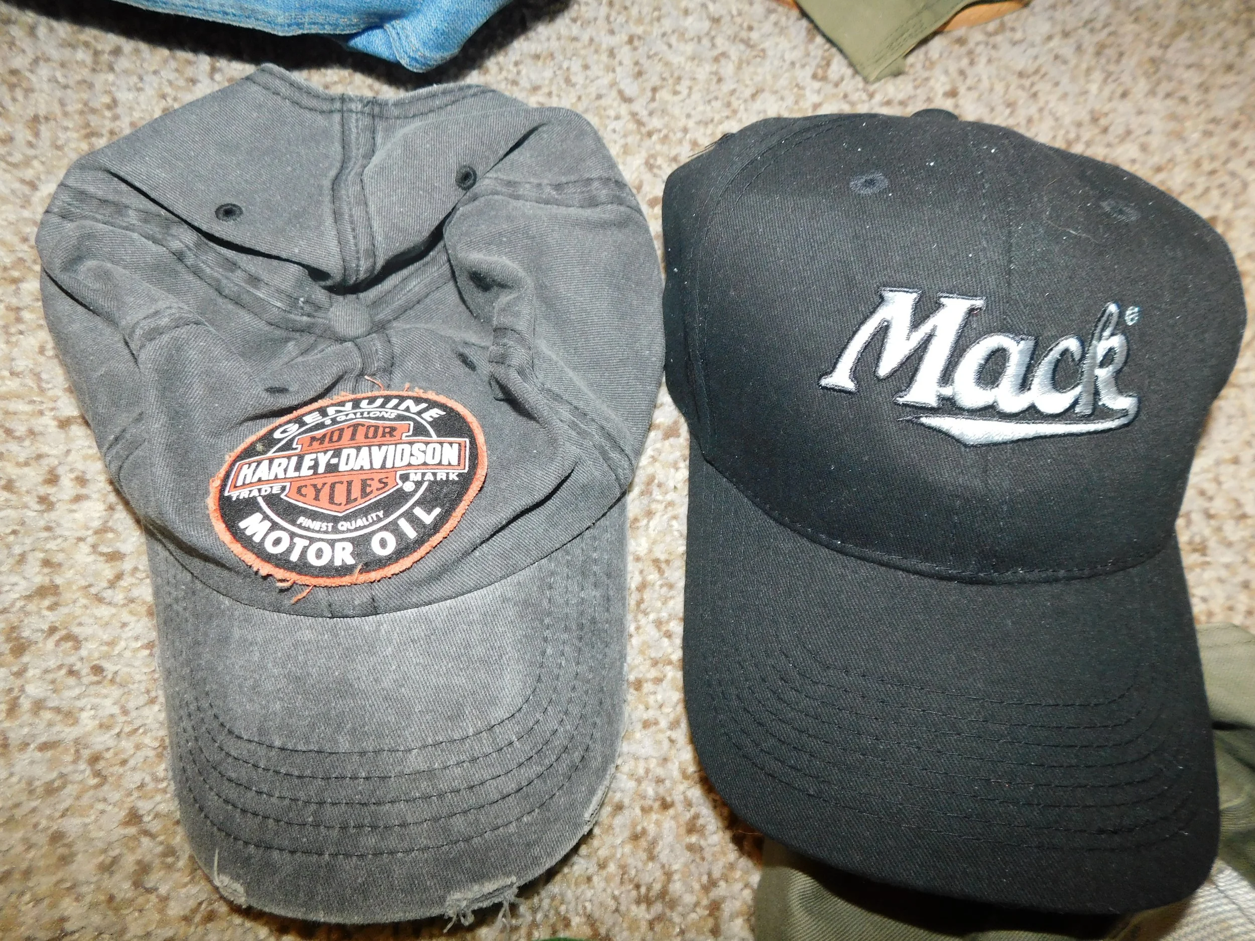 DSCN0437.JPG
