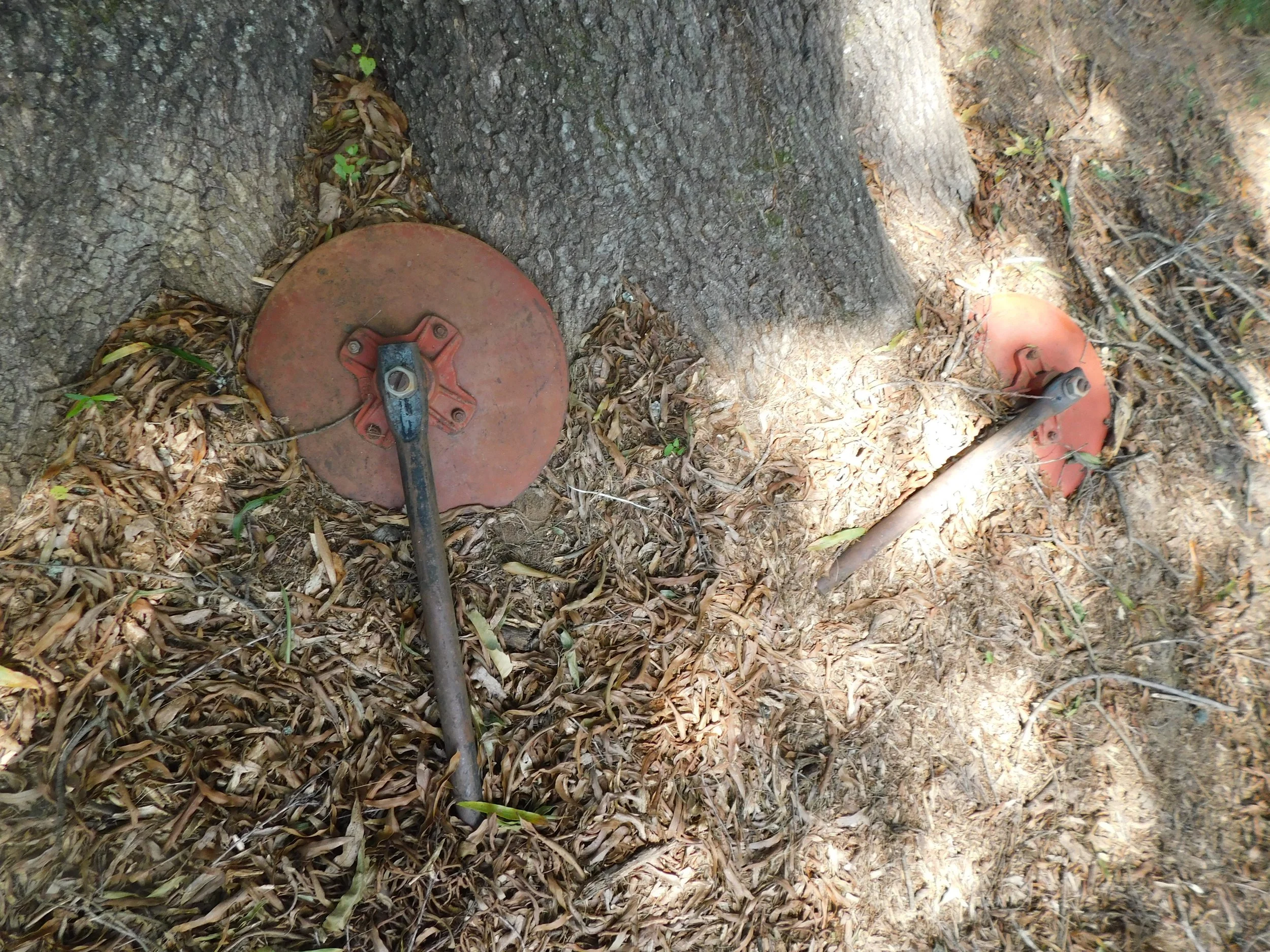 DSCN0466.JPG