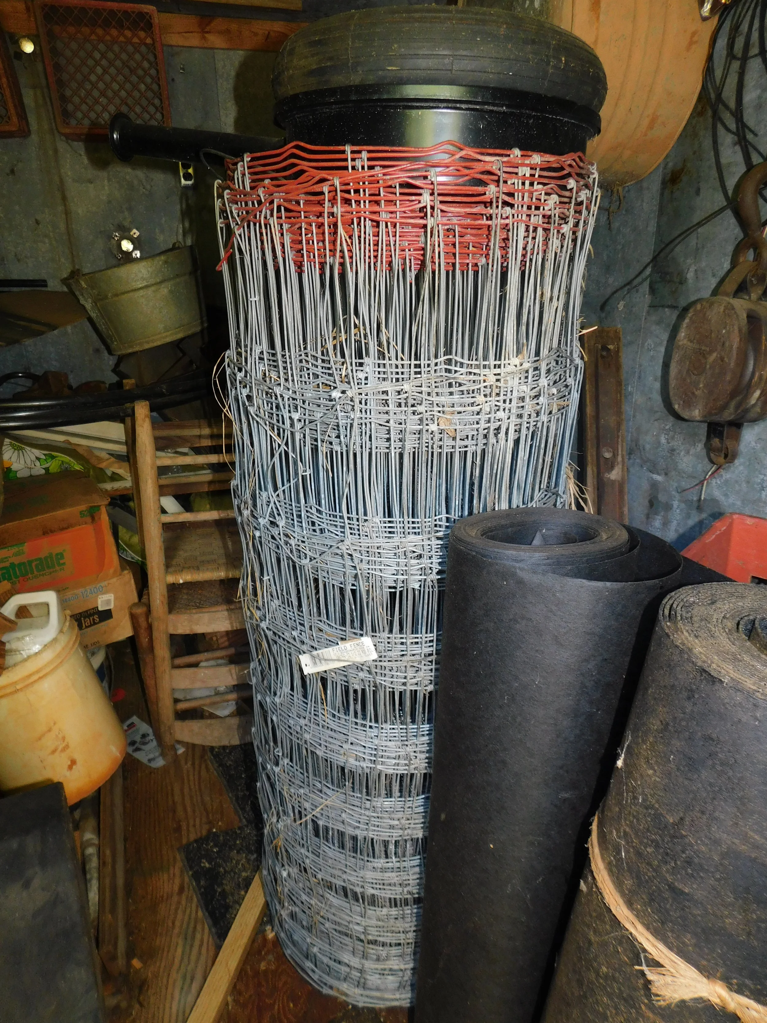 DSCN0477.JPG