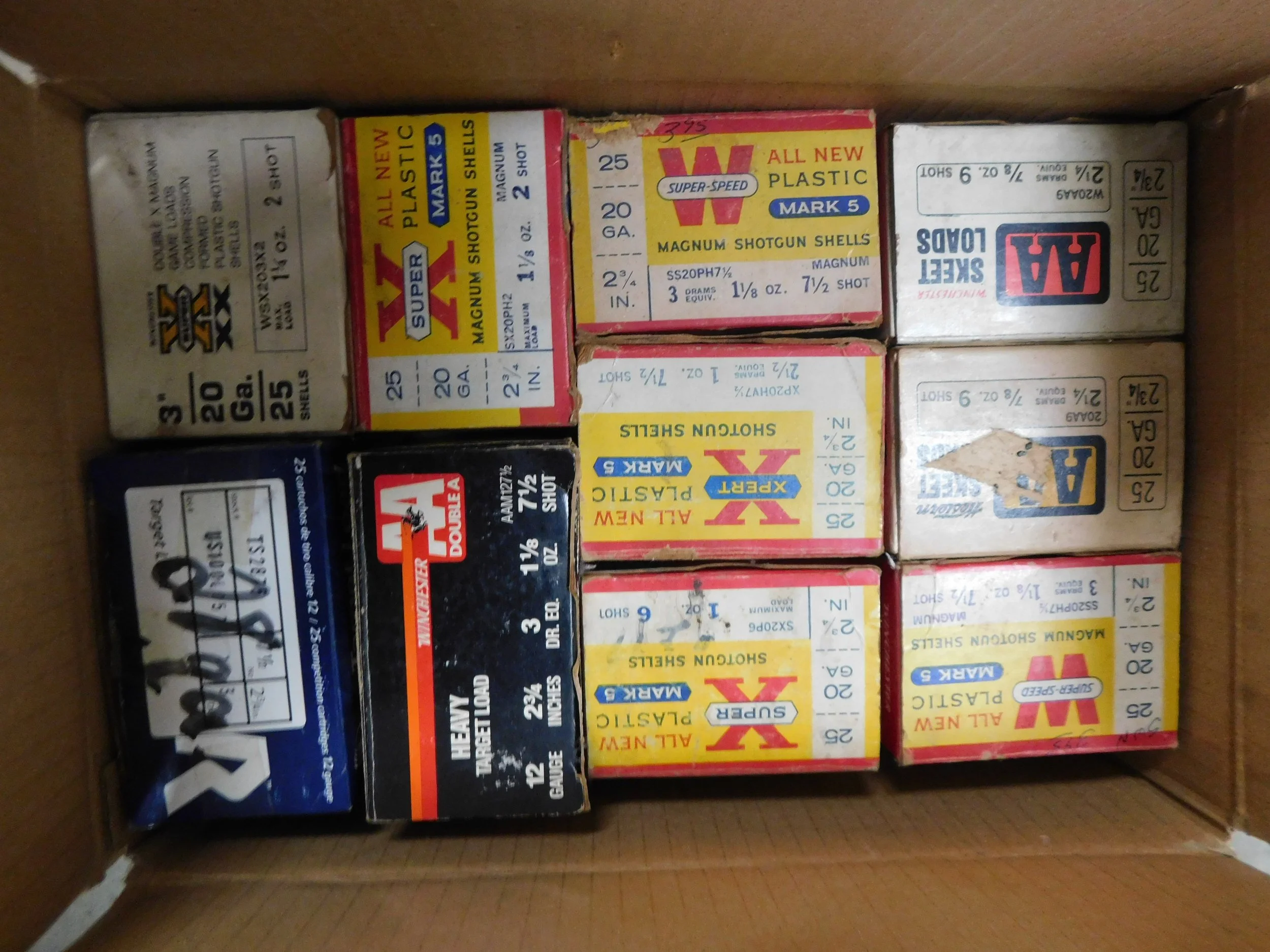 DSCN0570.JPG