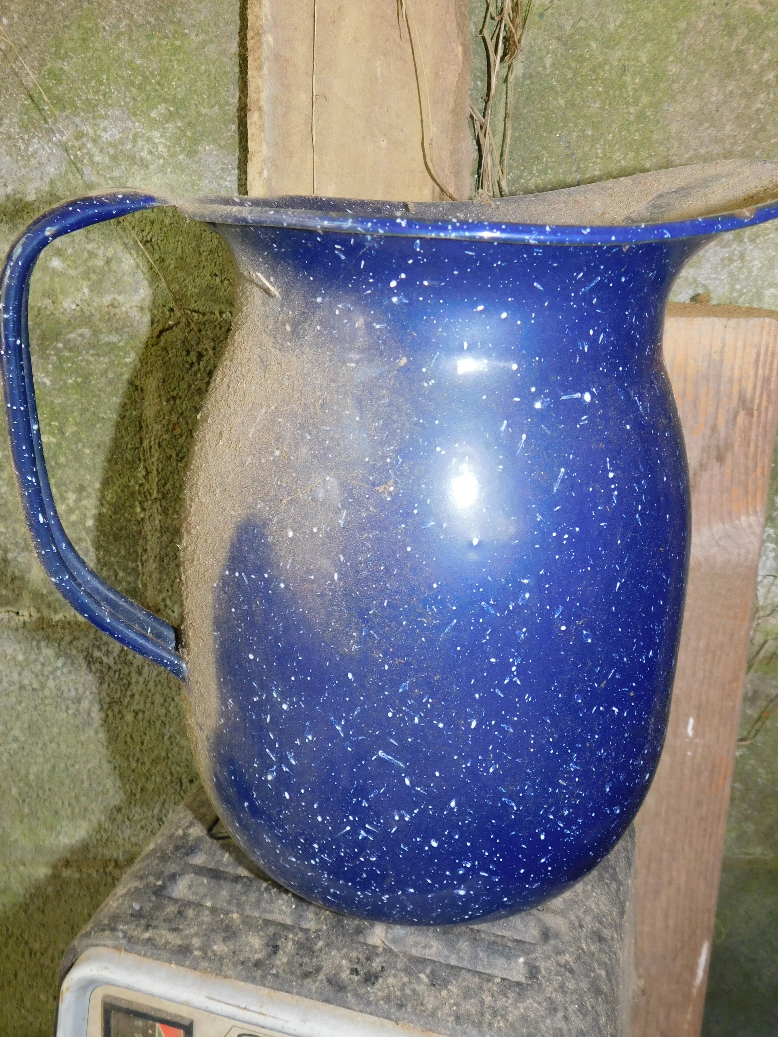DSCN0943.JPG