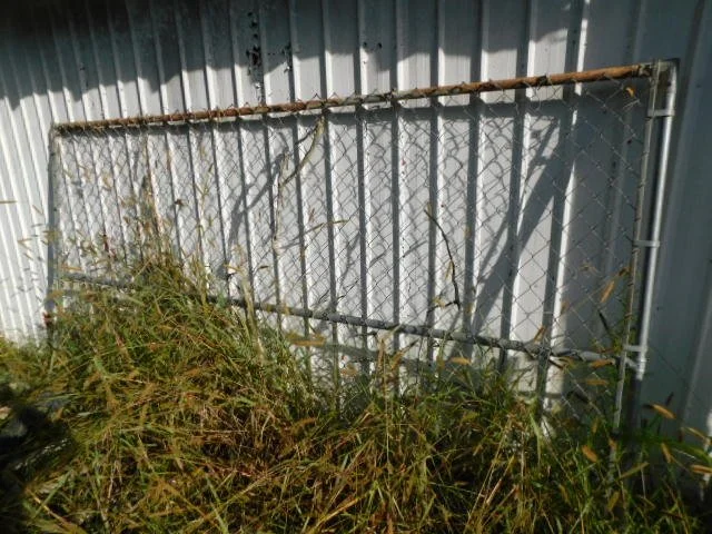 DSCN1015.JPG