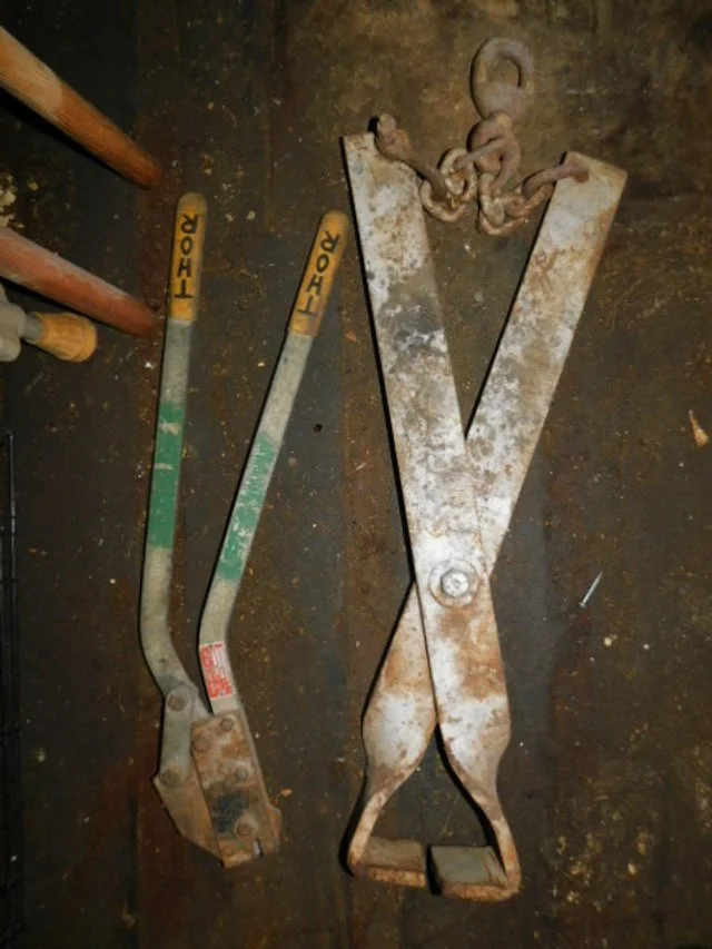 DSCN1131.JPG