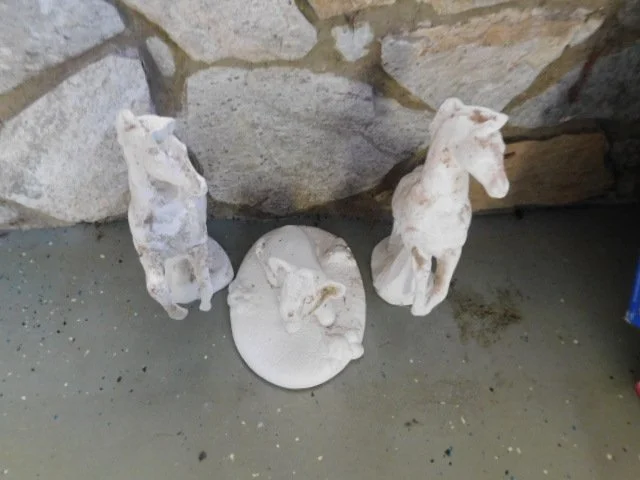 DSCN1216.JPG